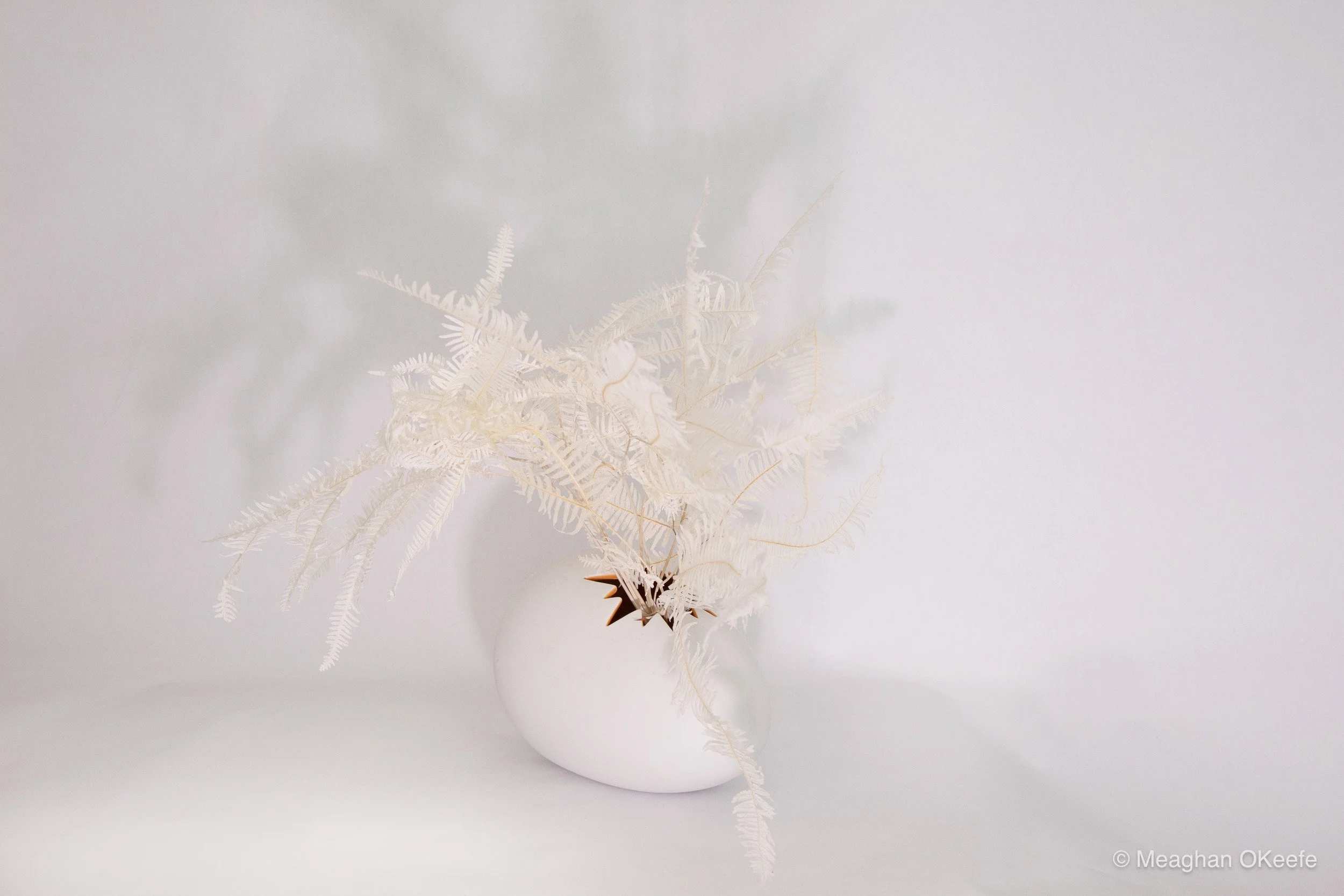 3. Front-Lighting_Assignment 9-003.jpg