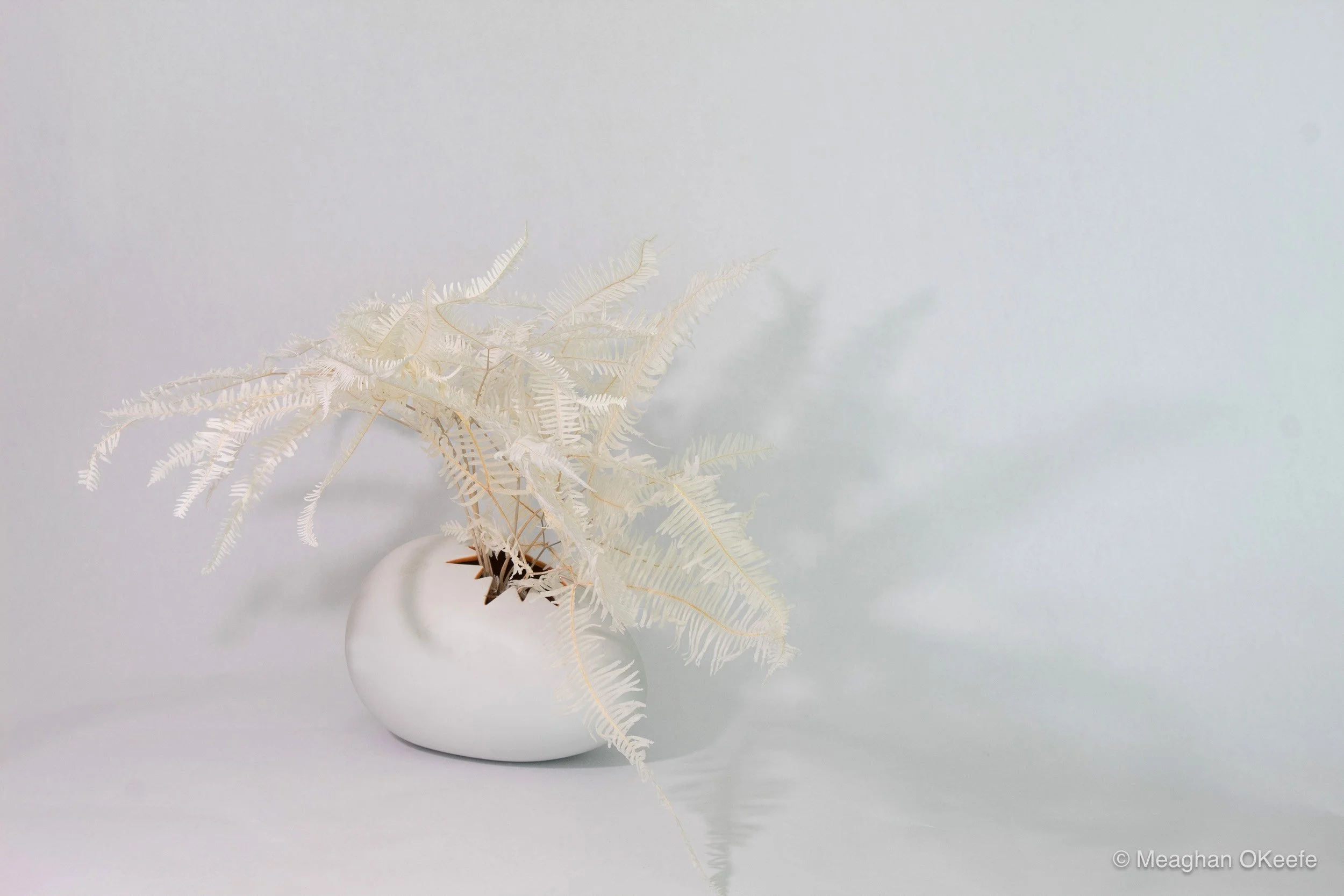 4.Side-Lighting_Assignment 9-017.jpg