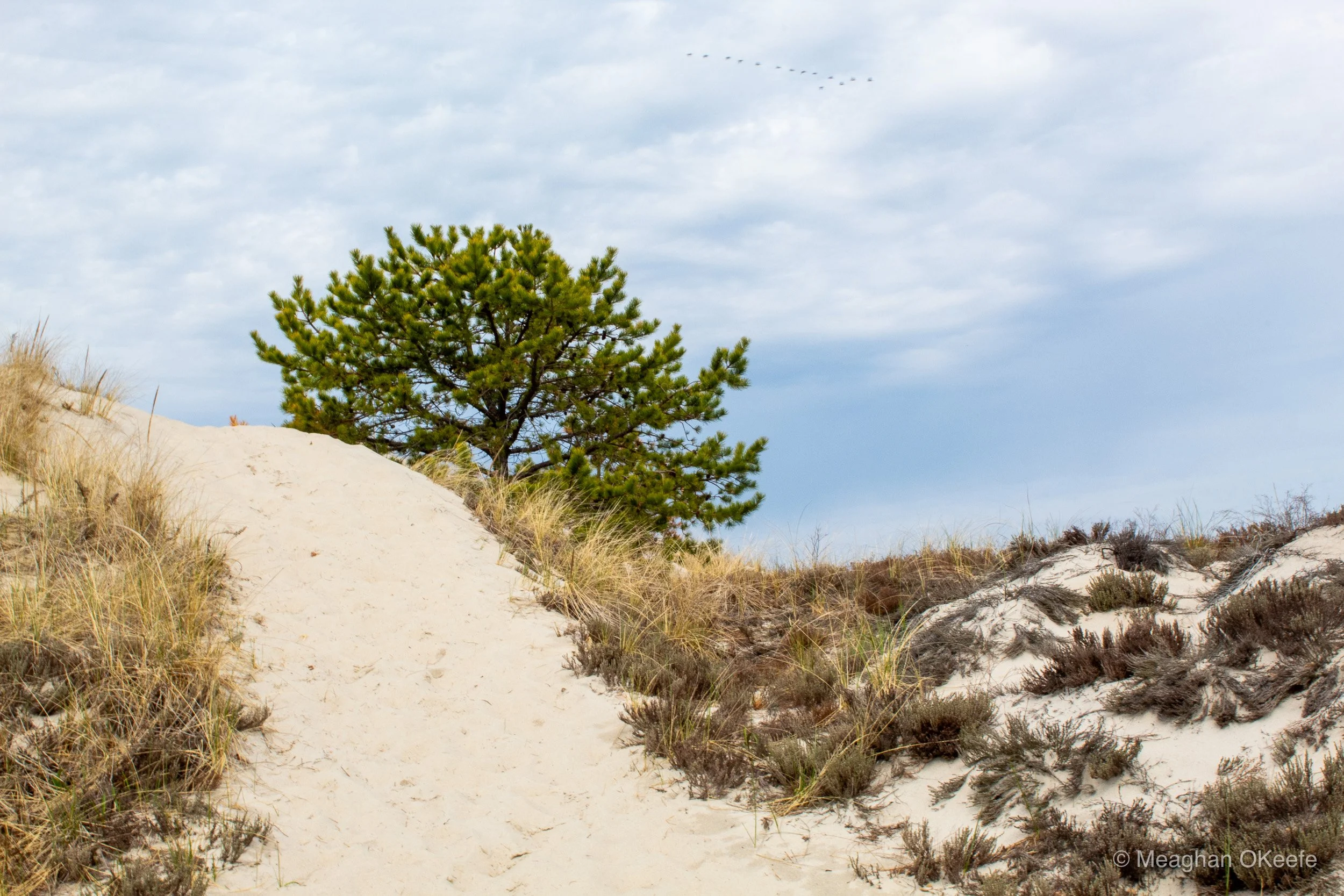 …and onto the trails…