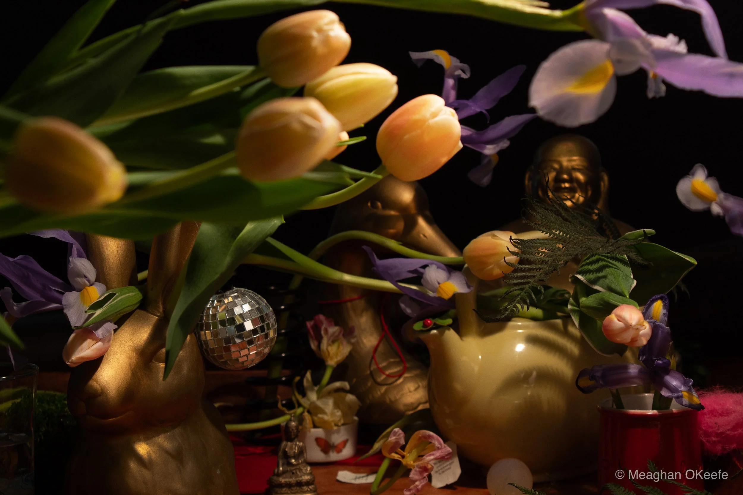 Vanitas still life