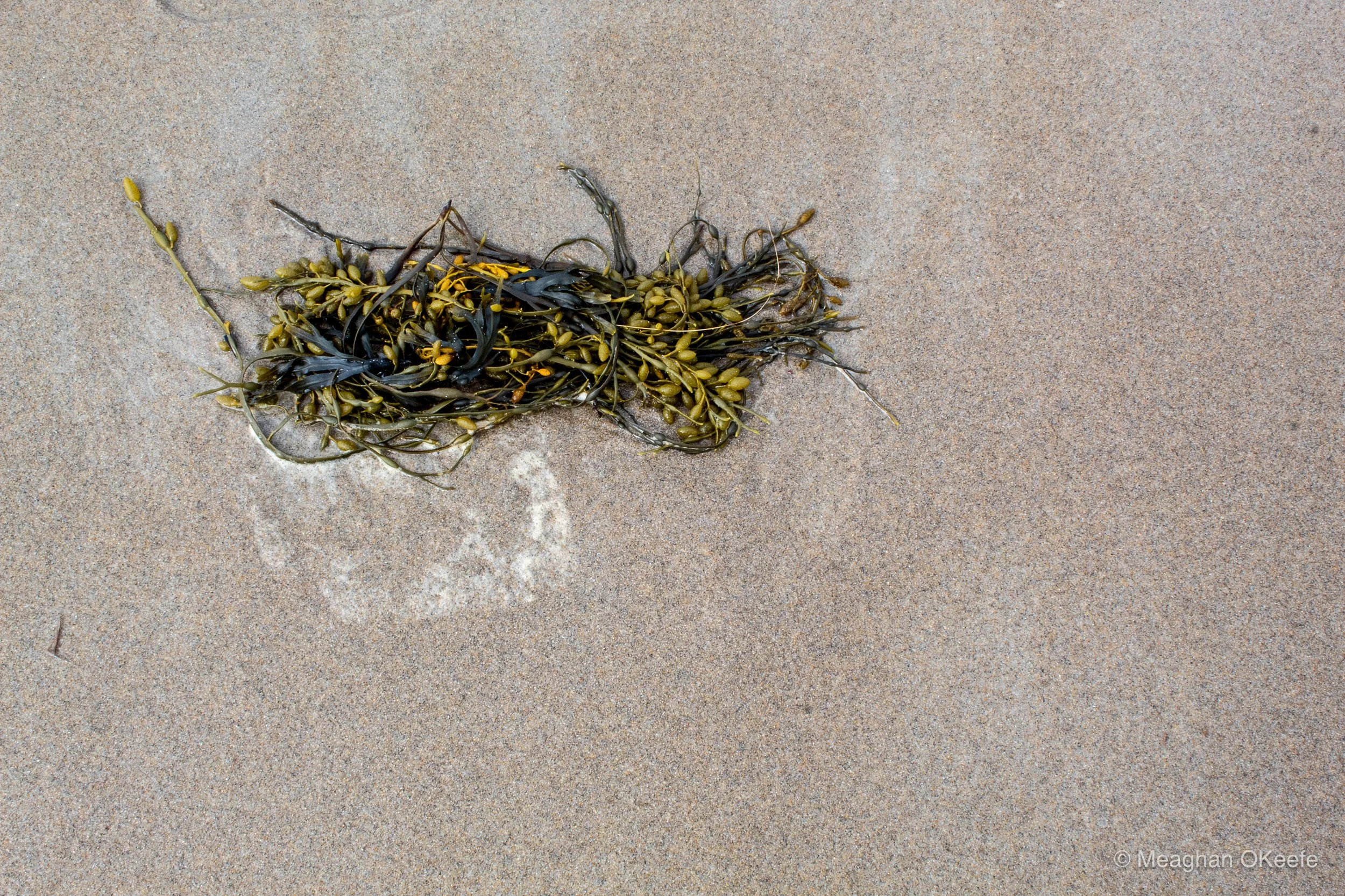 Assignment 12_20250510_MOKeefe_00014.jpg