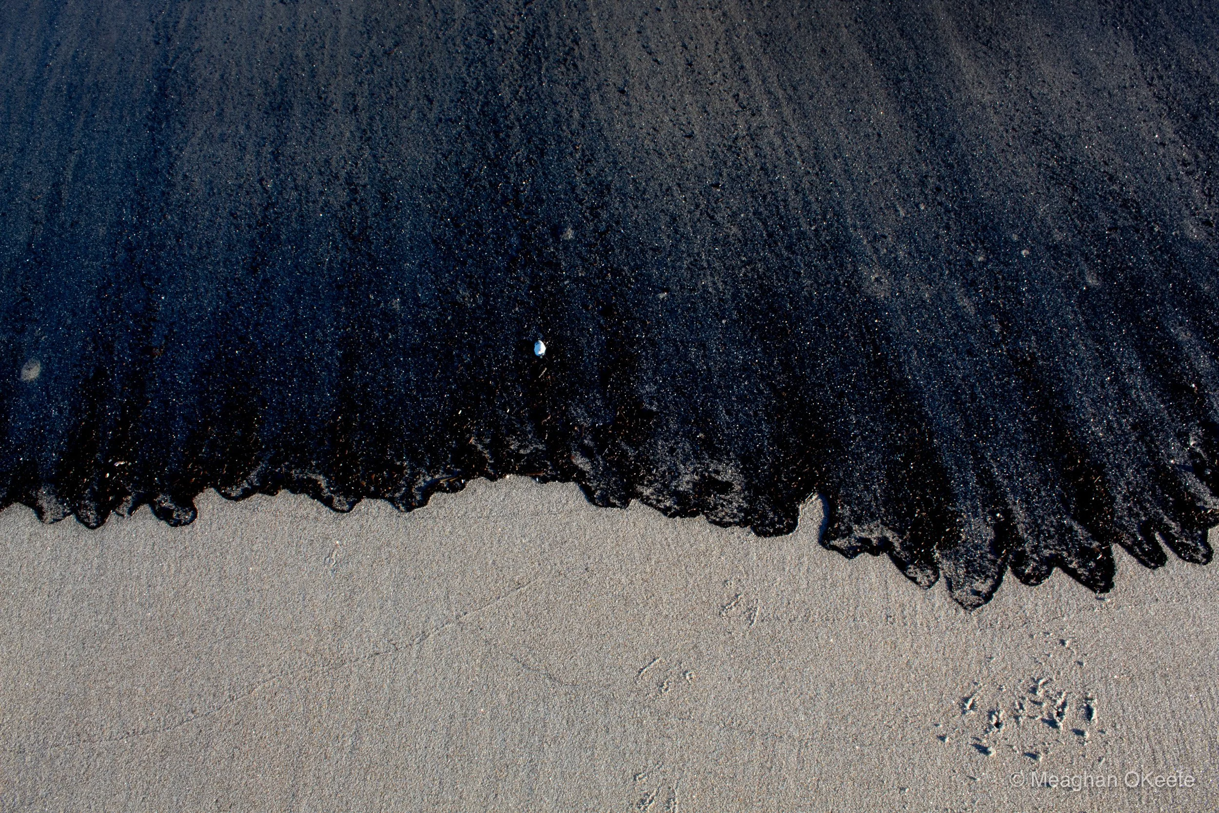 November Observations_20251121_MOKeefe_00009.jpg
