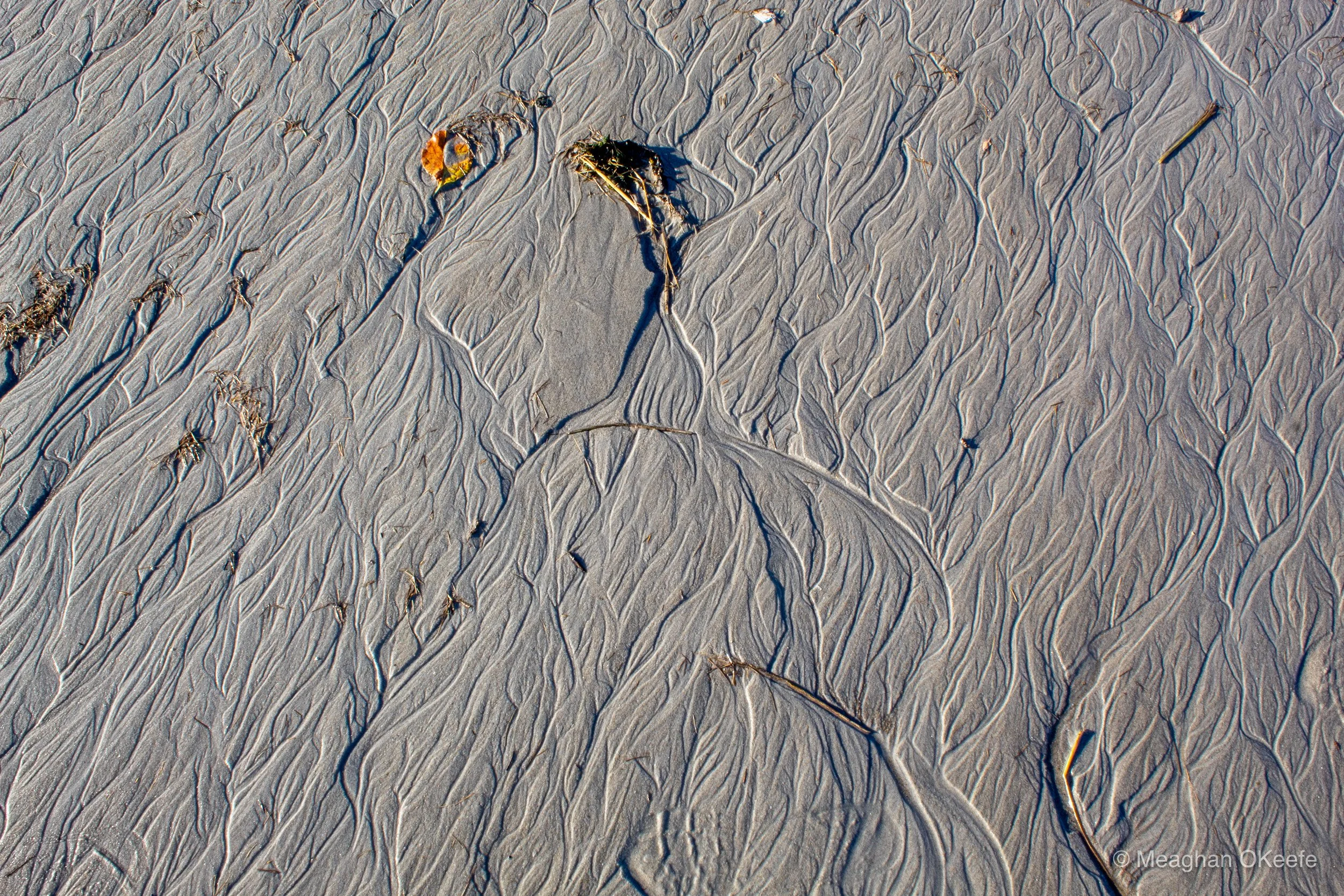 Crane Beach_October_20251009_MOKeefe_00025.jpg