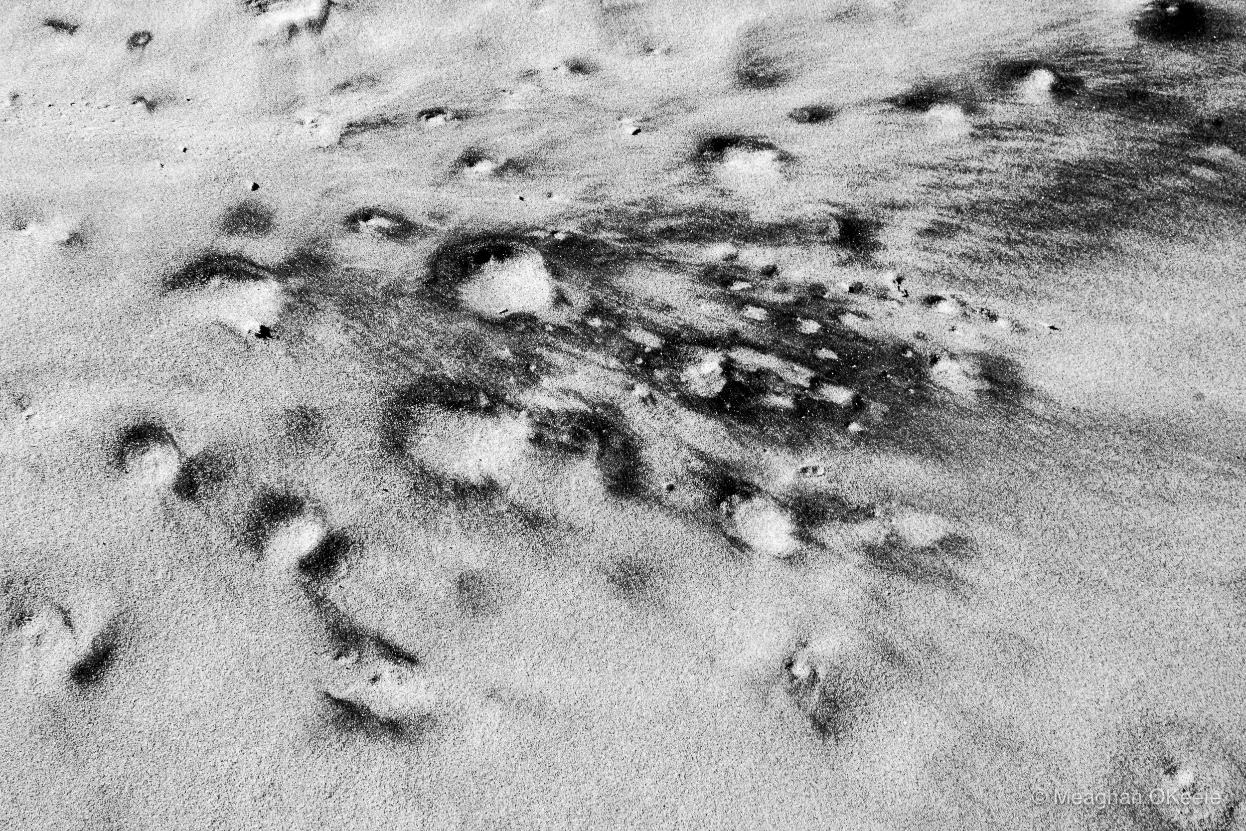 Crane Beach_October_B-W.20251009_MOKeefe_00010.jpg