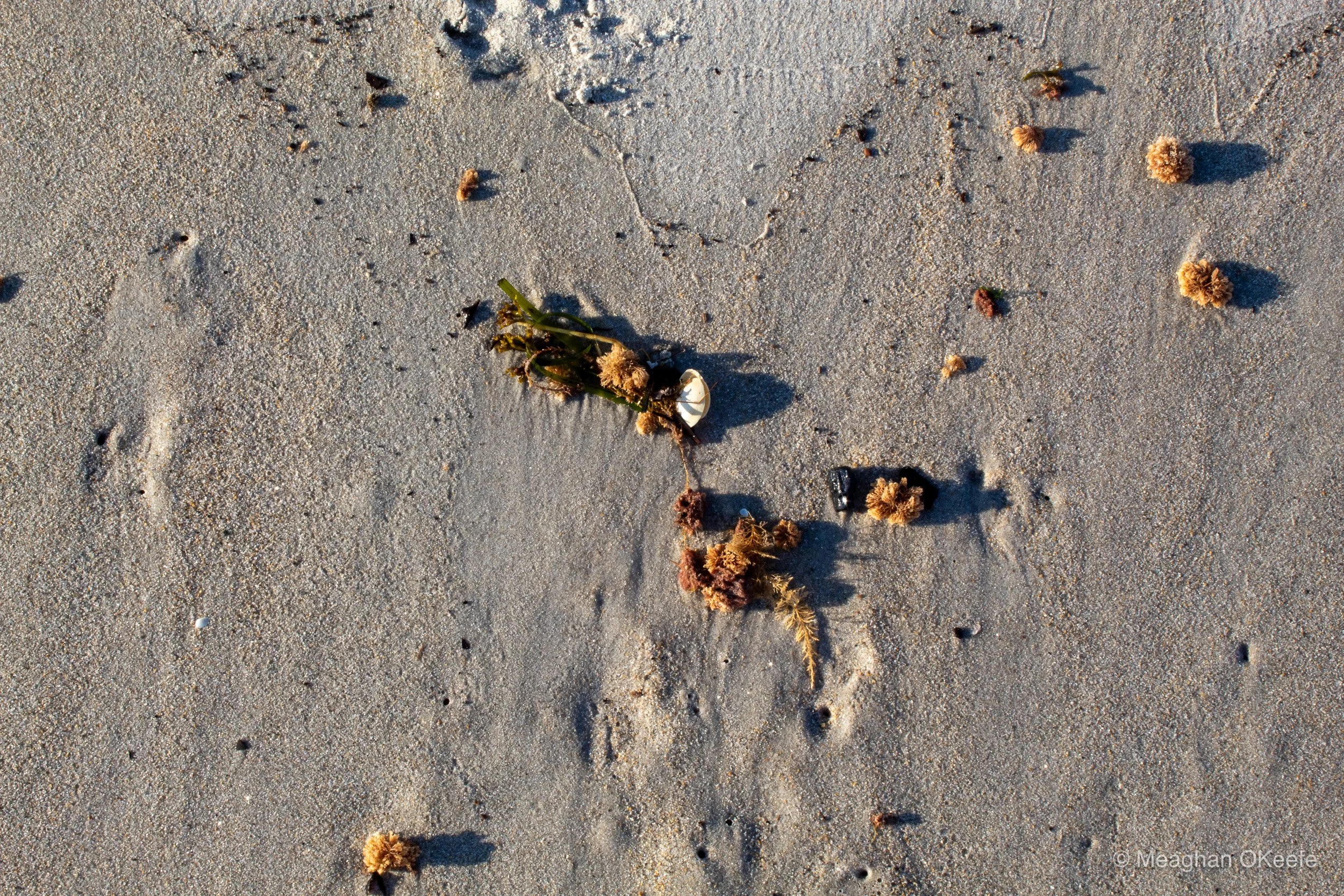 Happy Birthday Walk_20251006_MOKeefe_00007.jpg