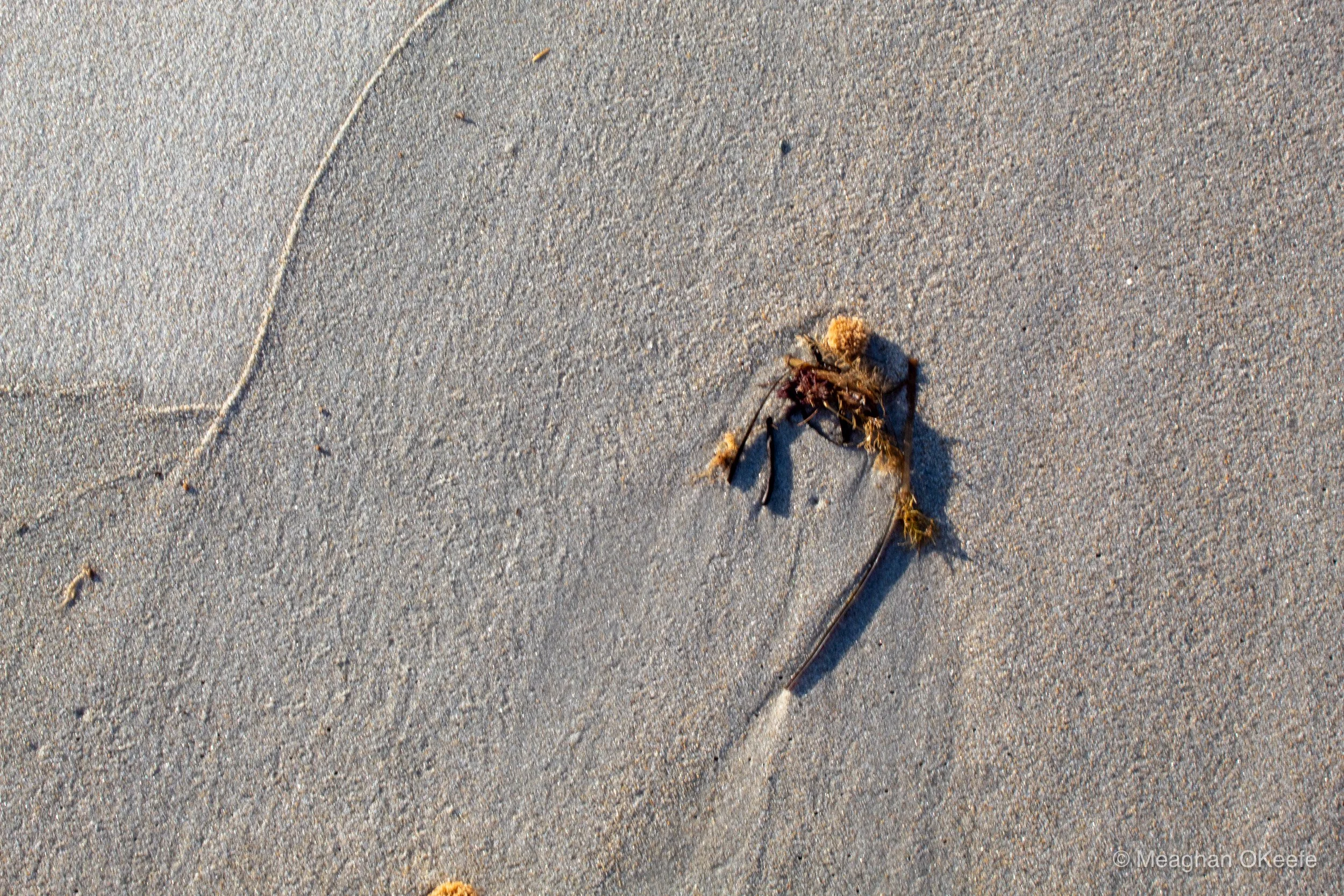 Happy Birthday Walk_20251006_MOKeefe_00015.jpg
