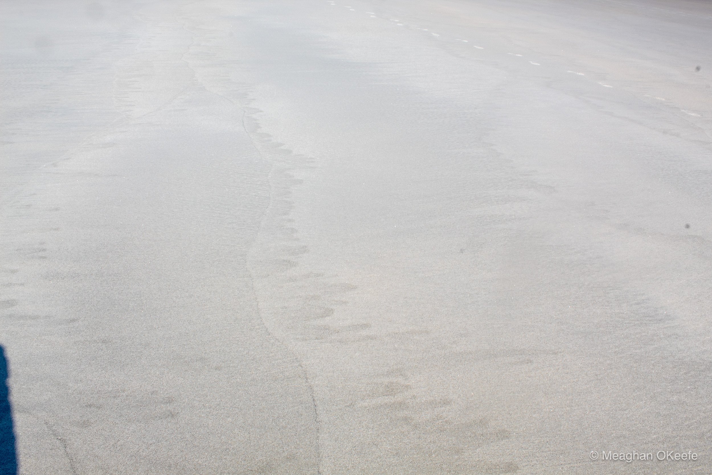 Glorious Morning_20250914_MOKeefe_00021.jpg