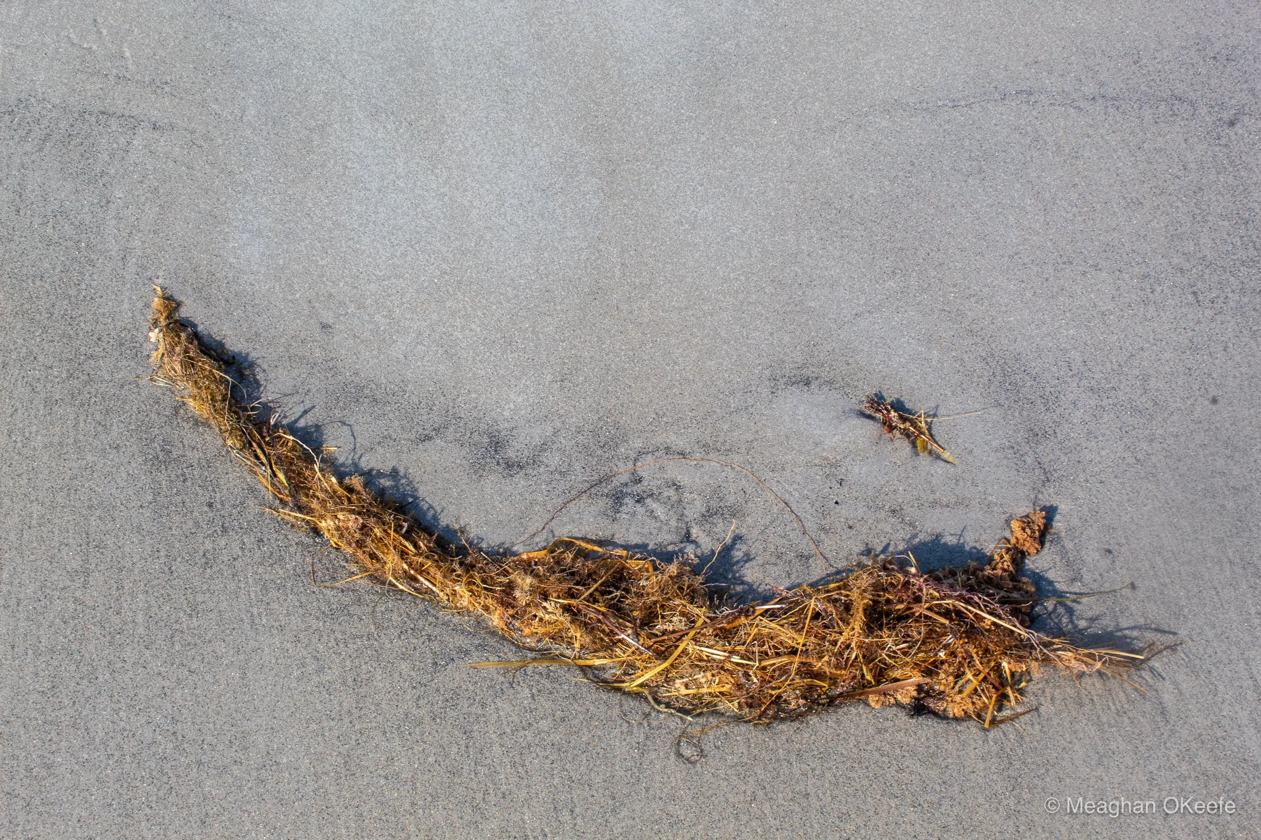 Glorious Morning_20250914_MOKeefe_00025.jpg