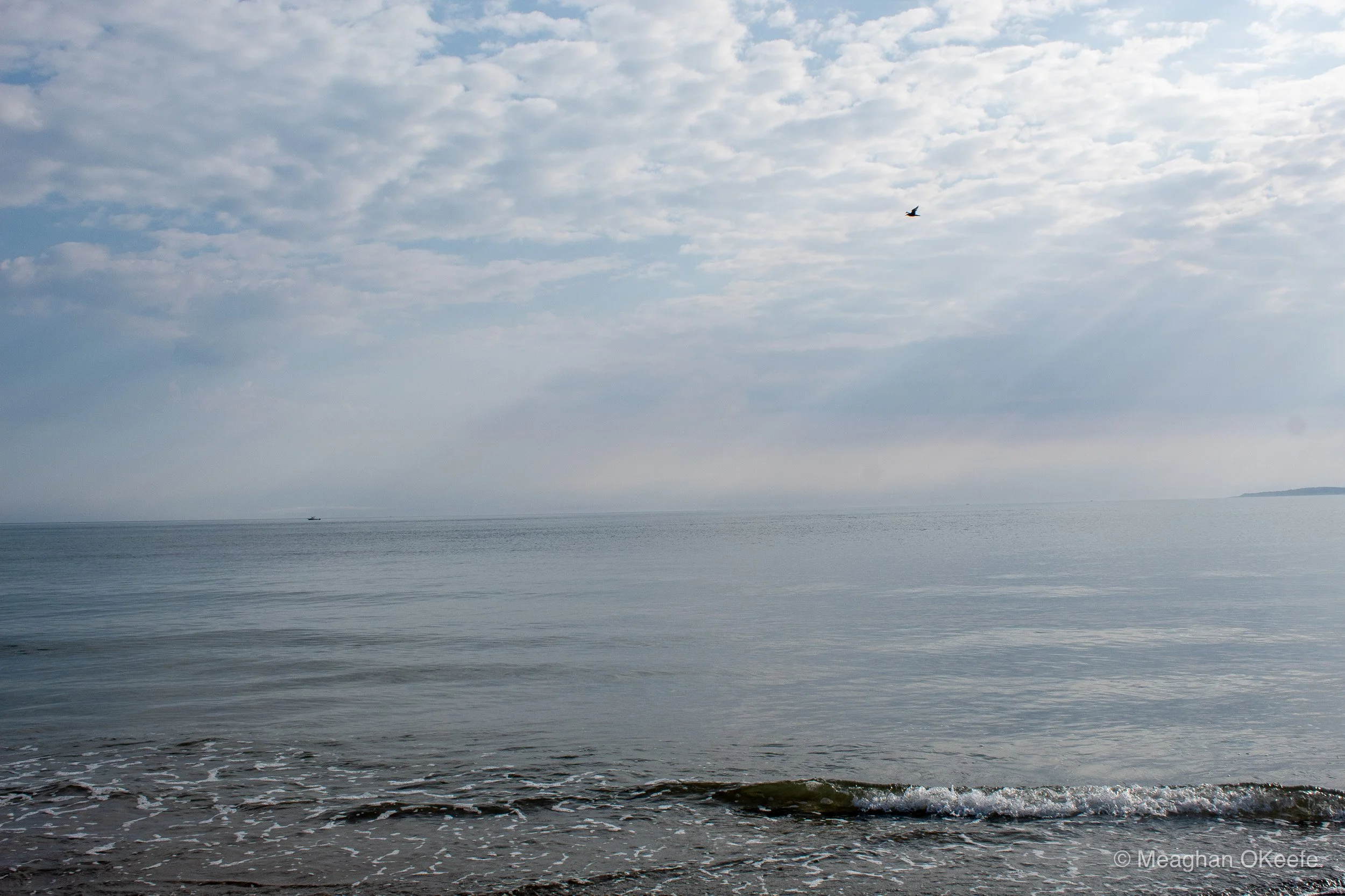 Glorious Morning_20250914_MOKeefe_00030.jpg