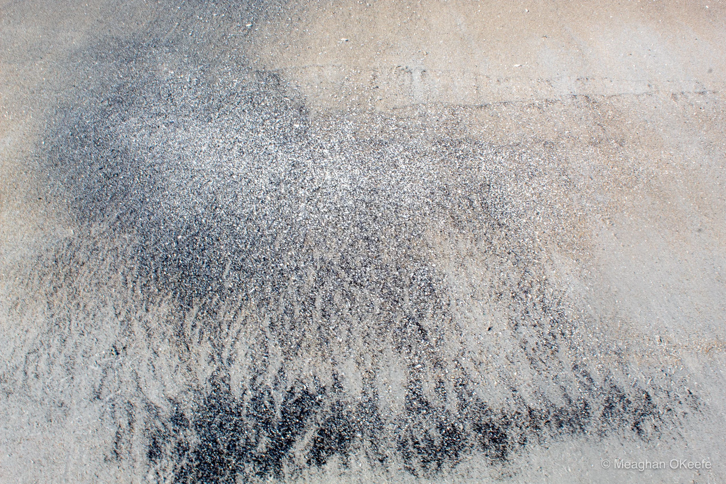 Glorious Morning_20250914_MOKeefe_00046.jpg