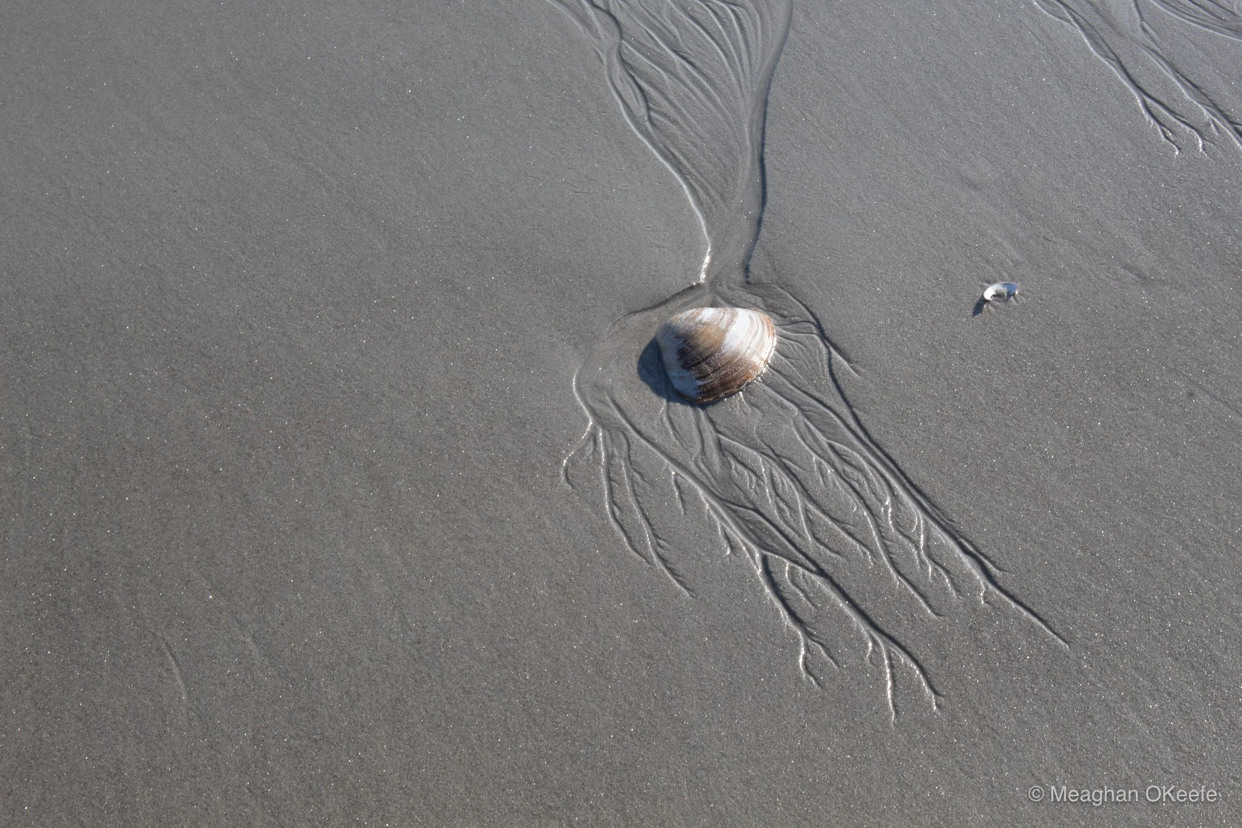 September_Crane Beach_20250913_MOKeefe_00001.jpg