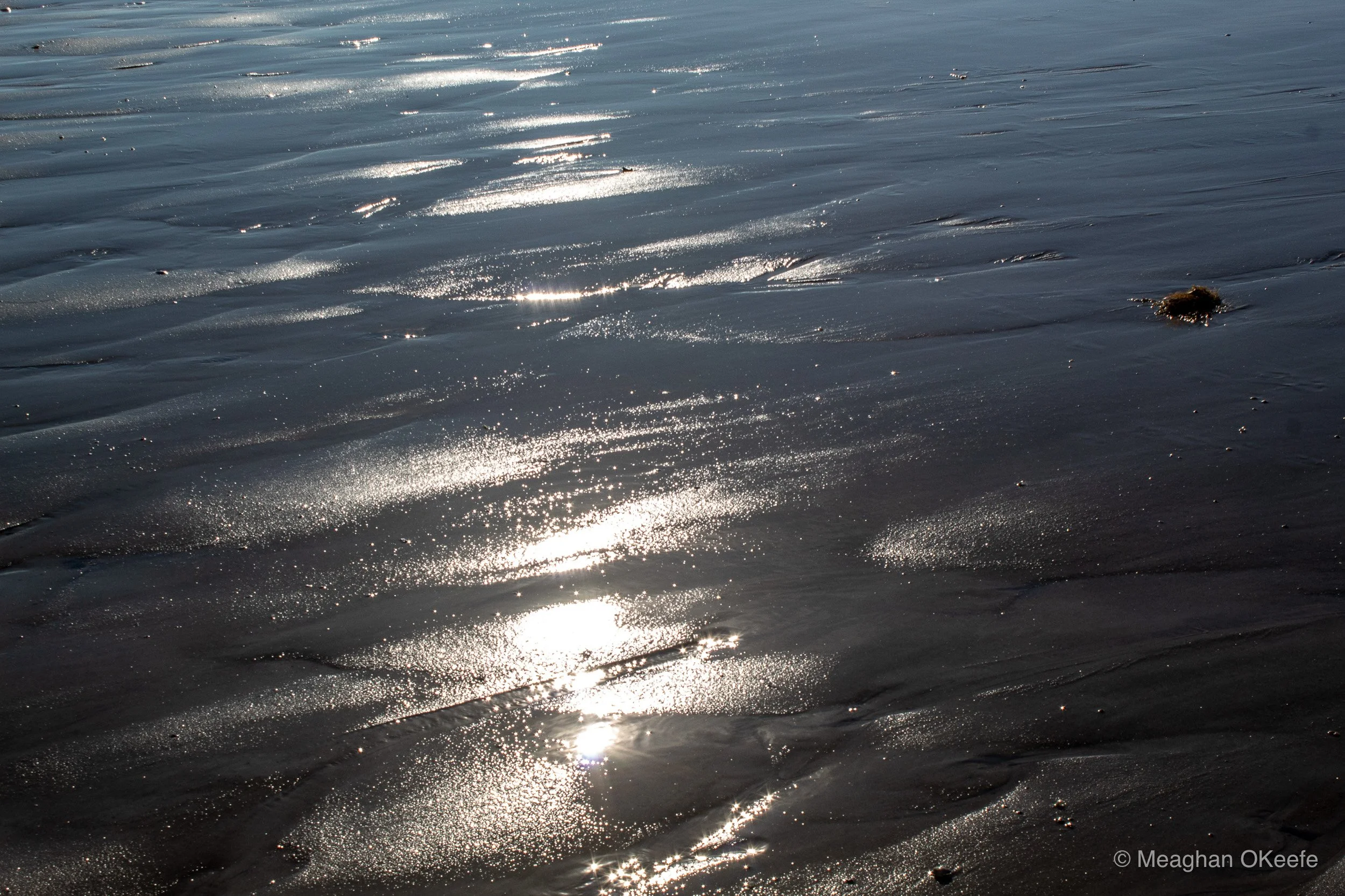 September_Crane Beach_20250913_MOKeefe_00007.jpg