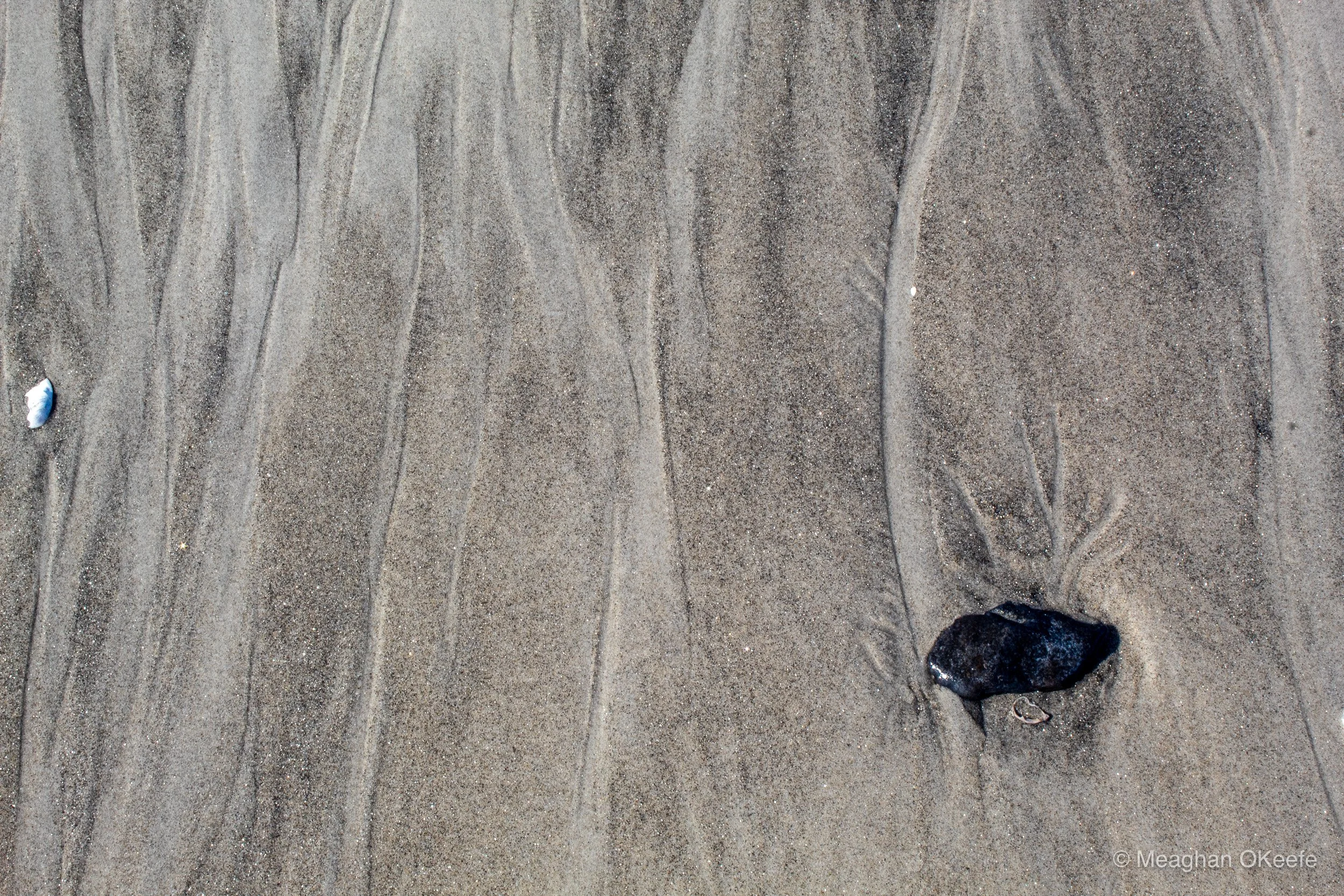 September_Crane Beach_20250913_MOKeefe_00011.jpg