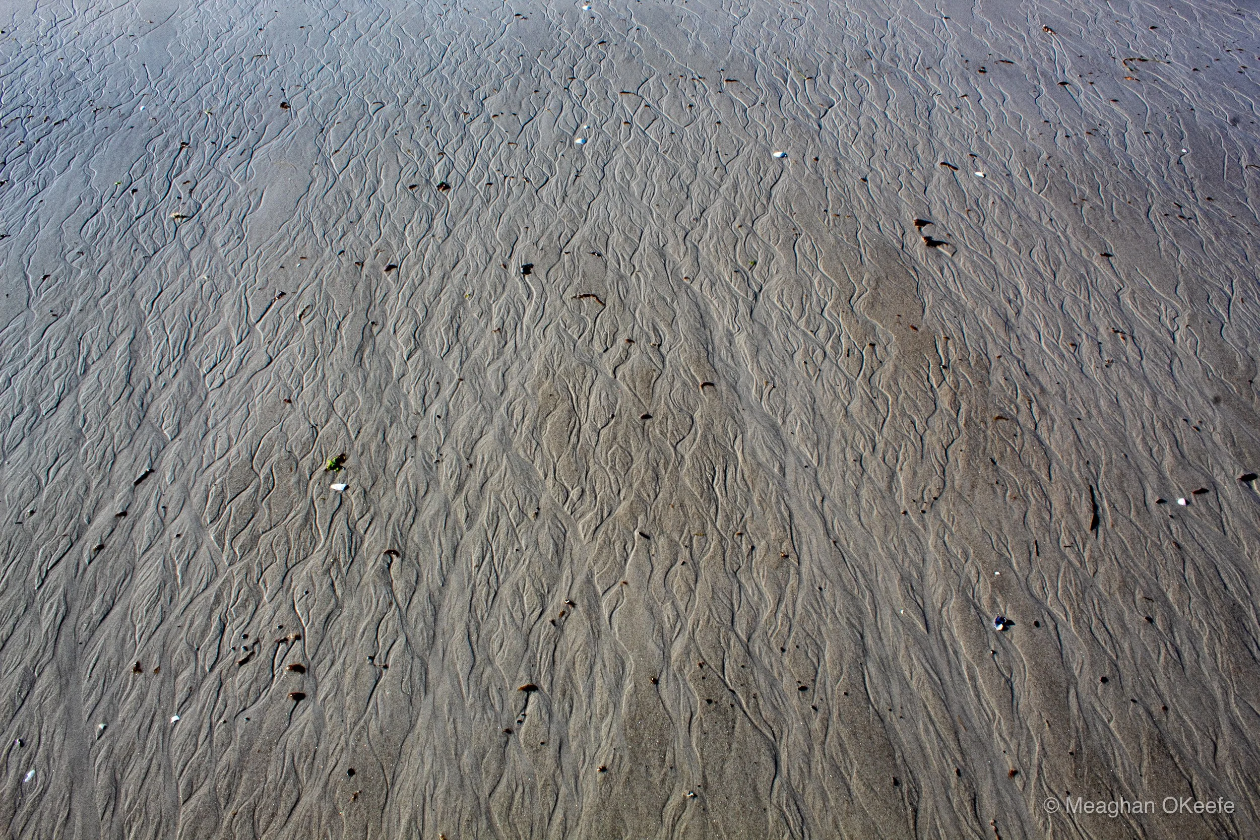 September_Crane Beach_20250913_MOKeefe_00014.jpg