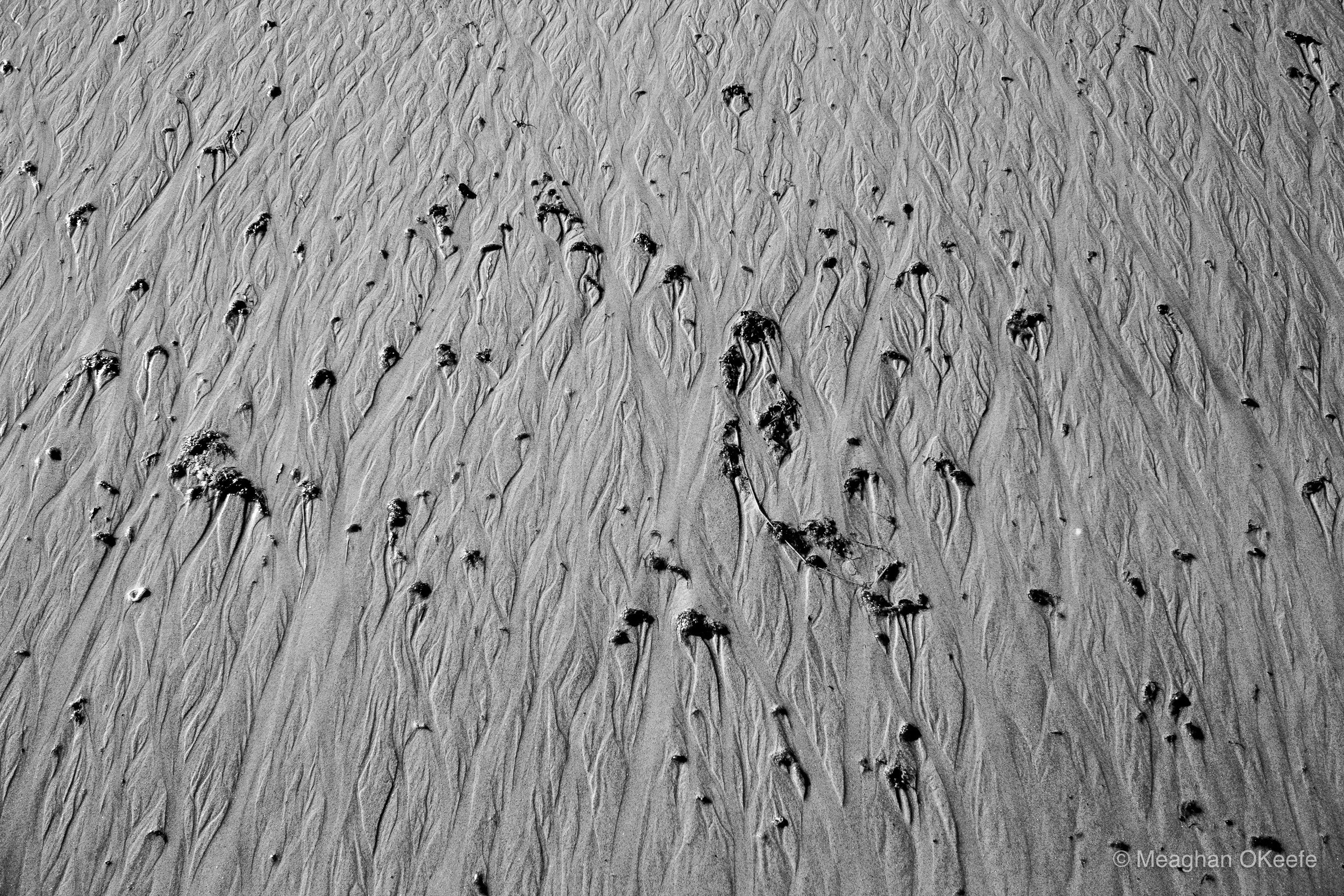 September_Crane Beach_20250913_MOKeefe_00015.jpg