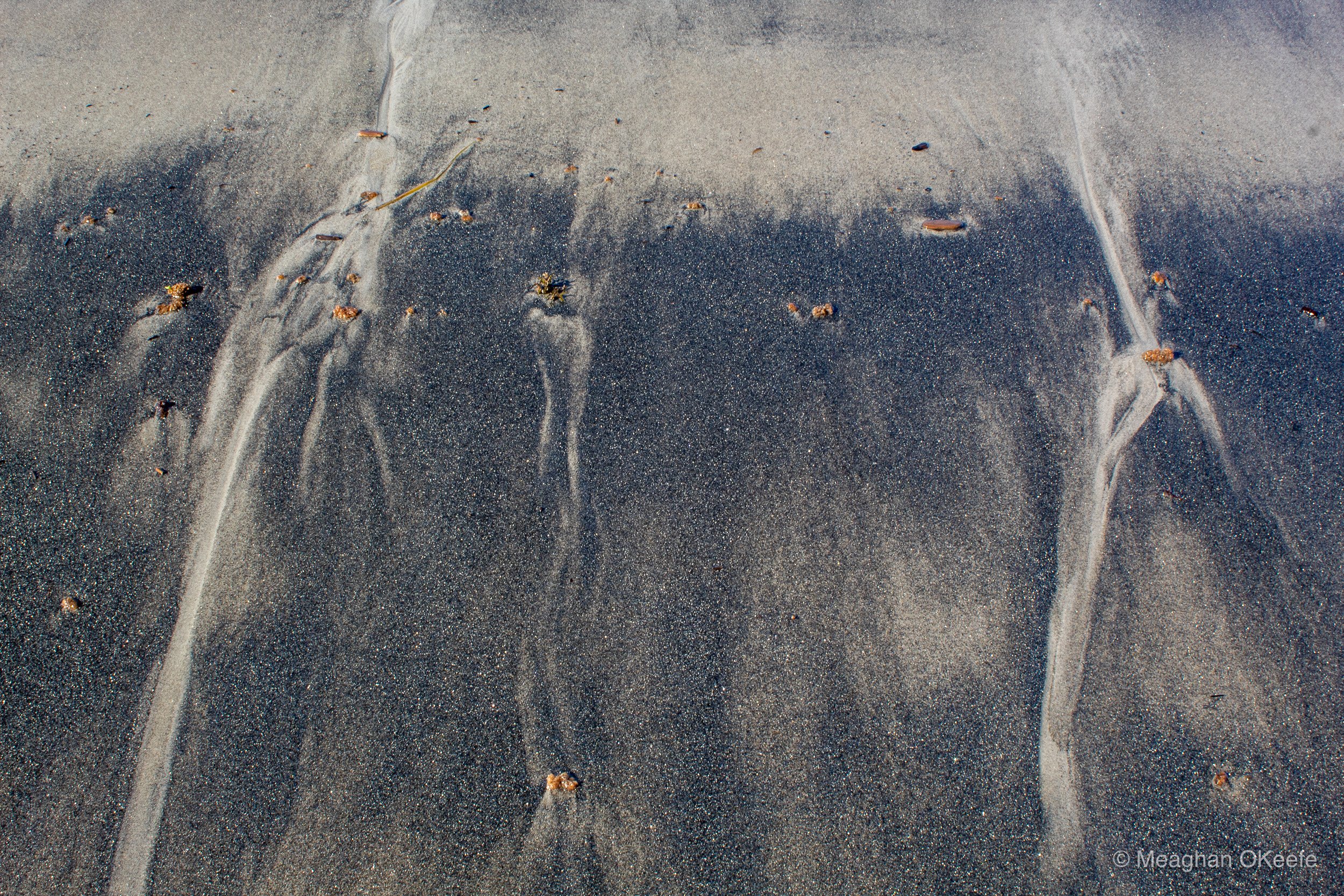 September_Crane Beach_20250913_MOKeefe_00020.jpg