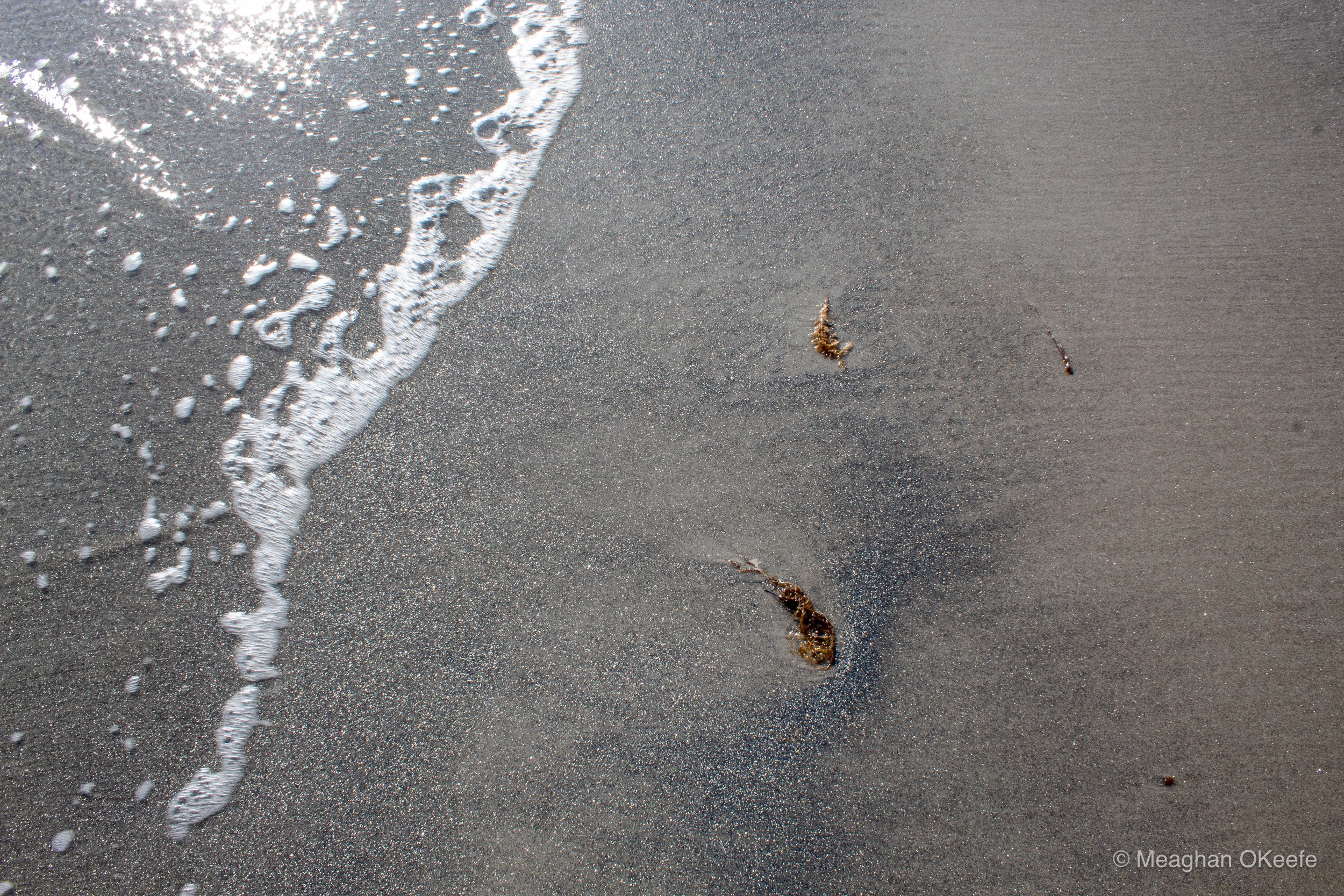 September_Crane Beach_20250913_MOKeefe_00021.jpg