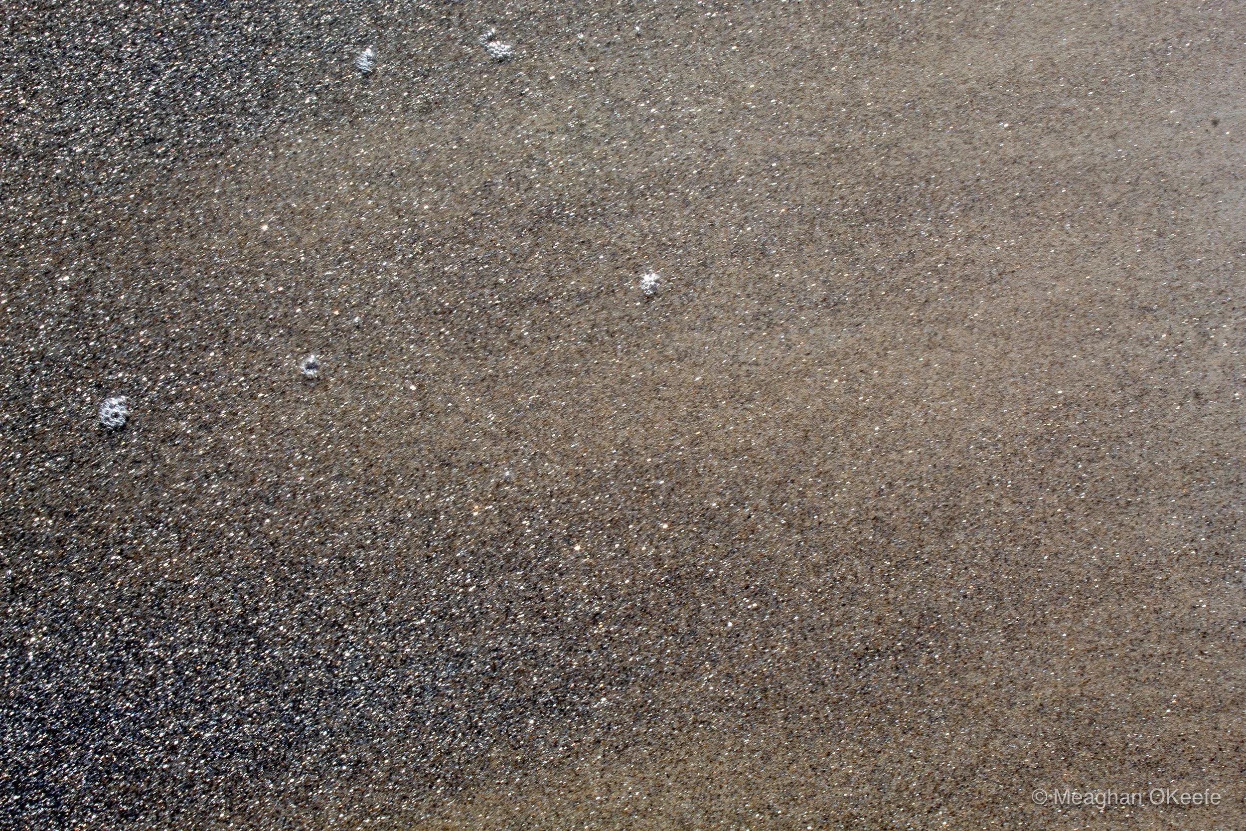 September_Crane Beach_20250913_MOKeefe_00027.jpg