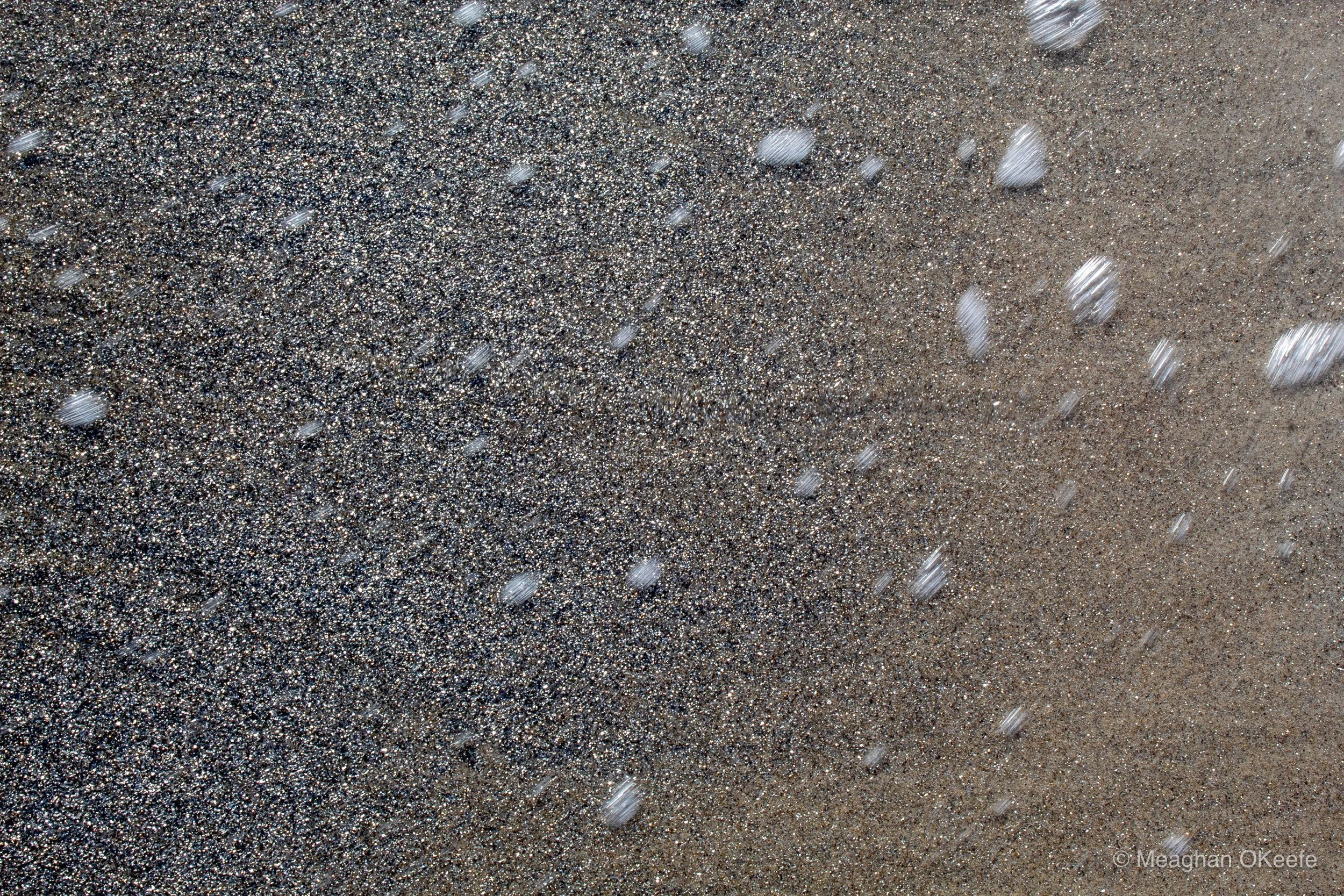 September_Crane Beach_20250913_MOKeefe_00028.jpg