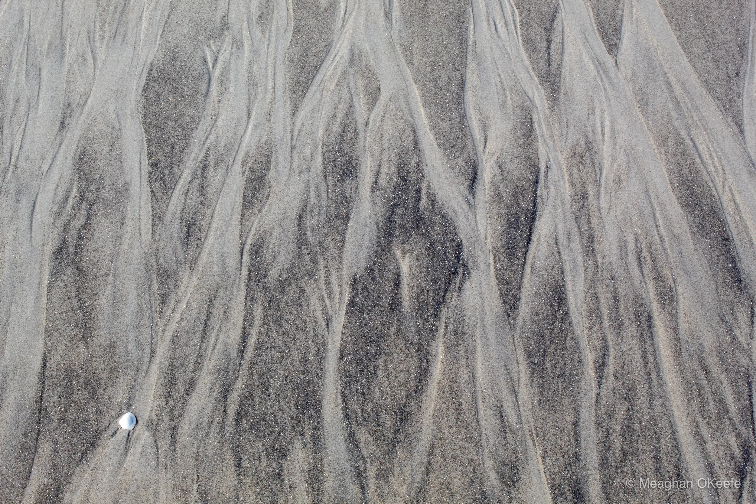 September_Crane Beach_20250913_MOKeefe_00030.jpg
