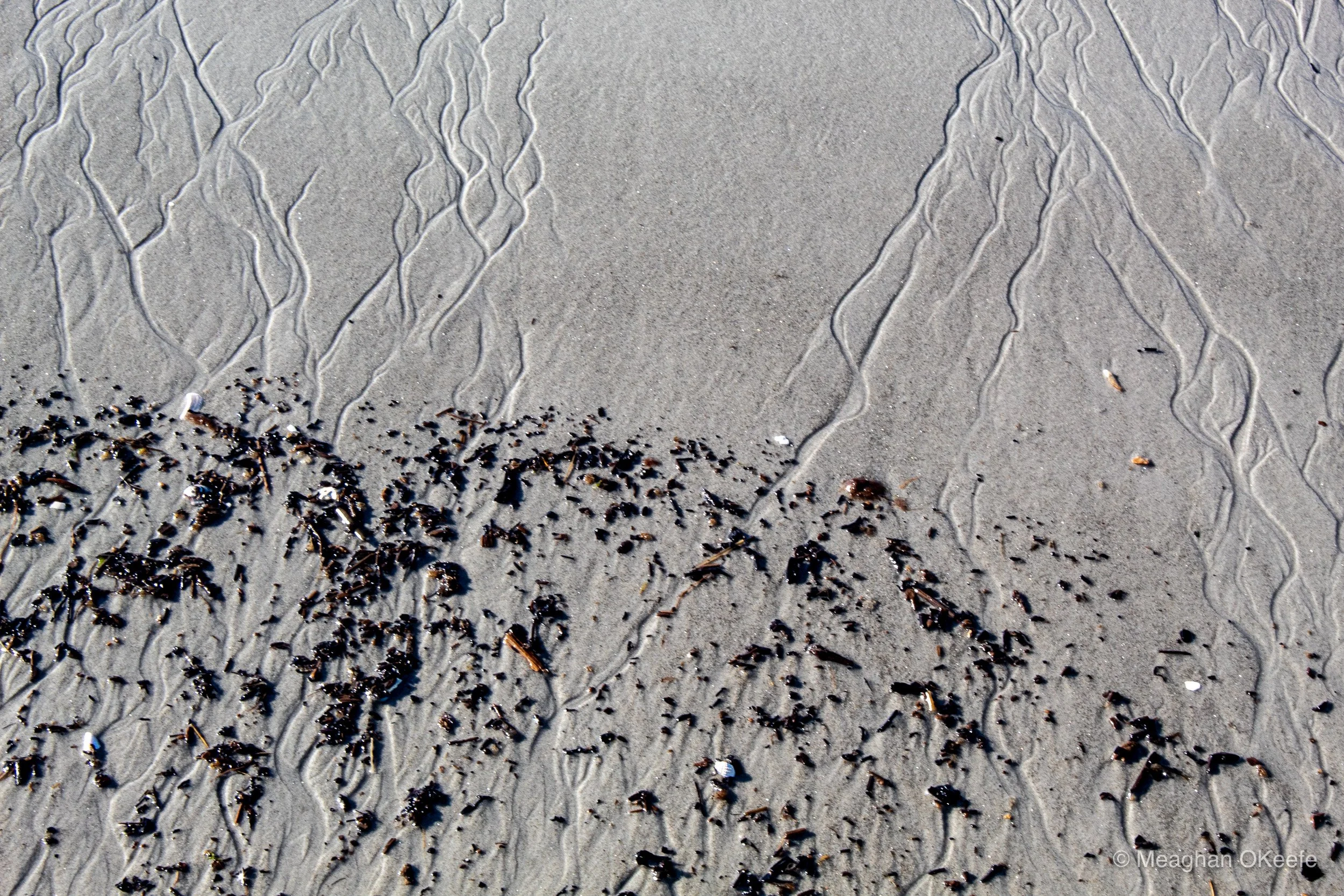 September_Crane Beach_20250913_MOKeefe_00034.jpg