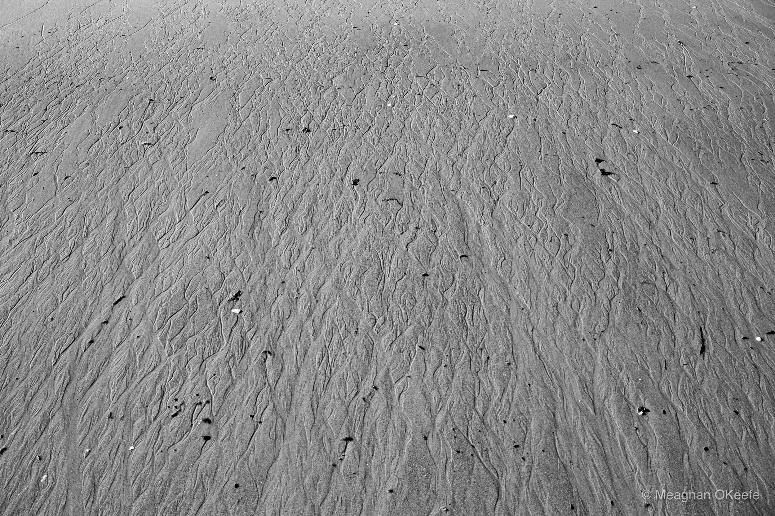 September_Crane Beach_20250913_MOKeefe_00035.jpg