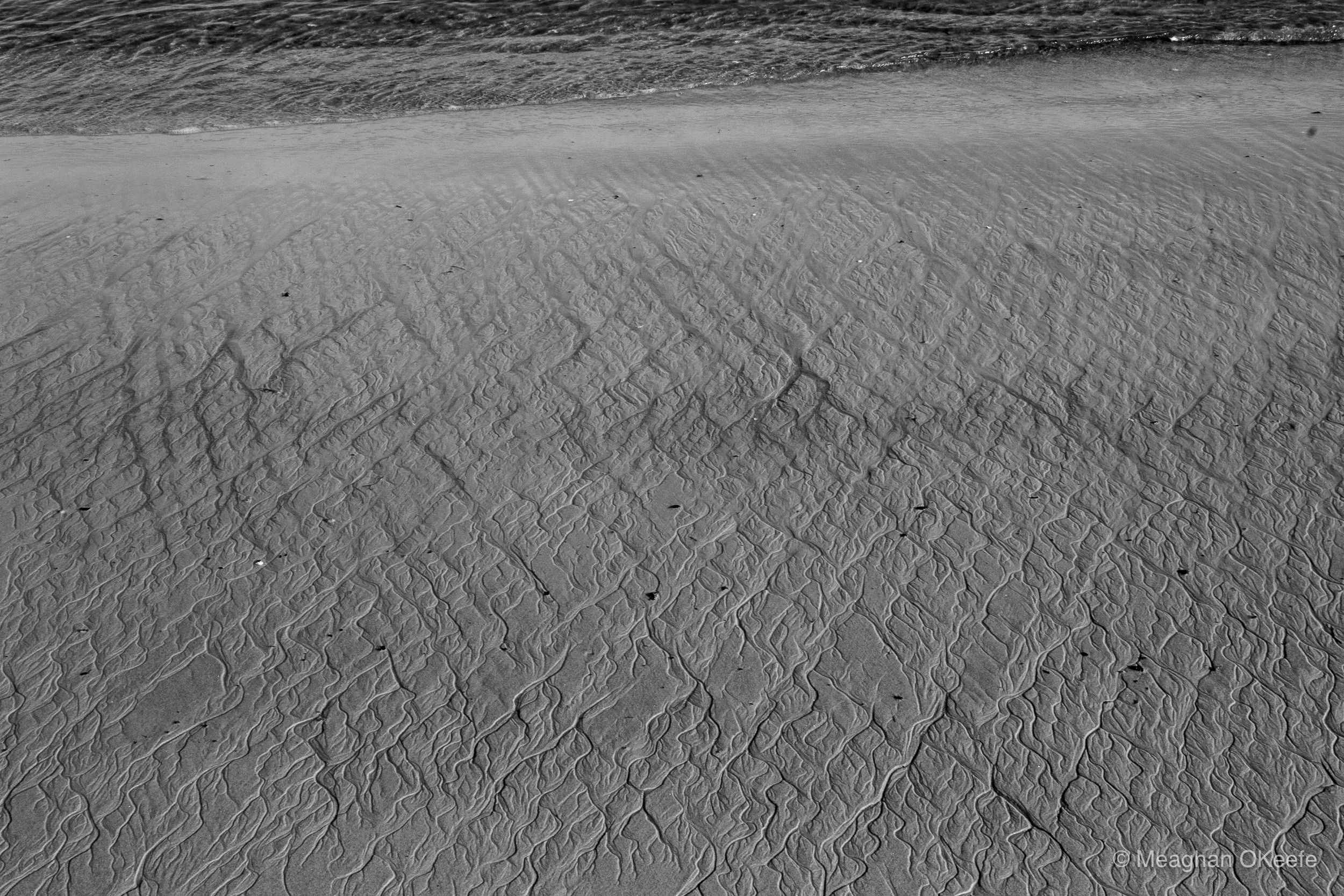September_Crane Beach_20250913_MOKeefe_00037-2.jpg