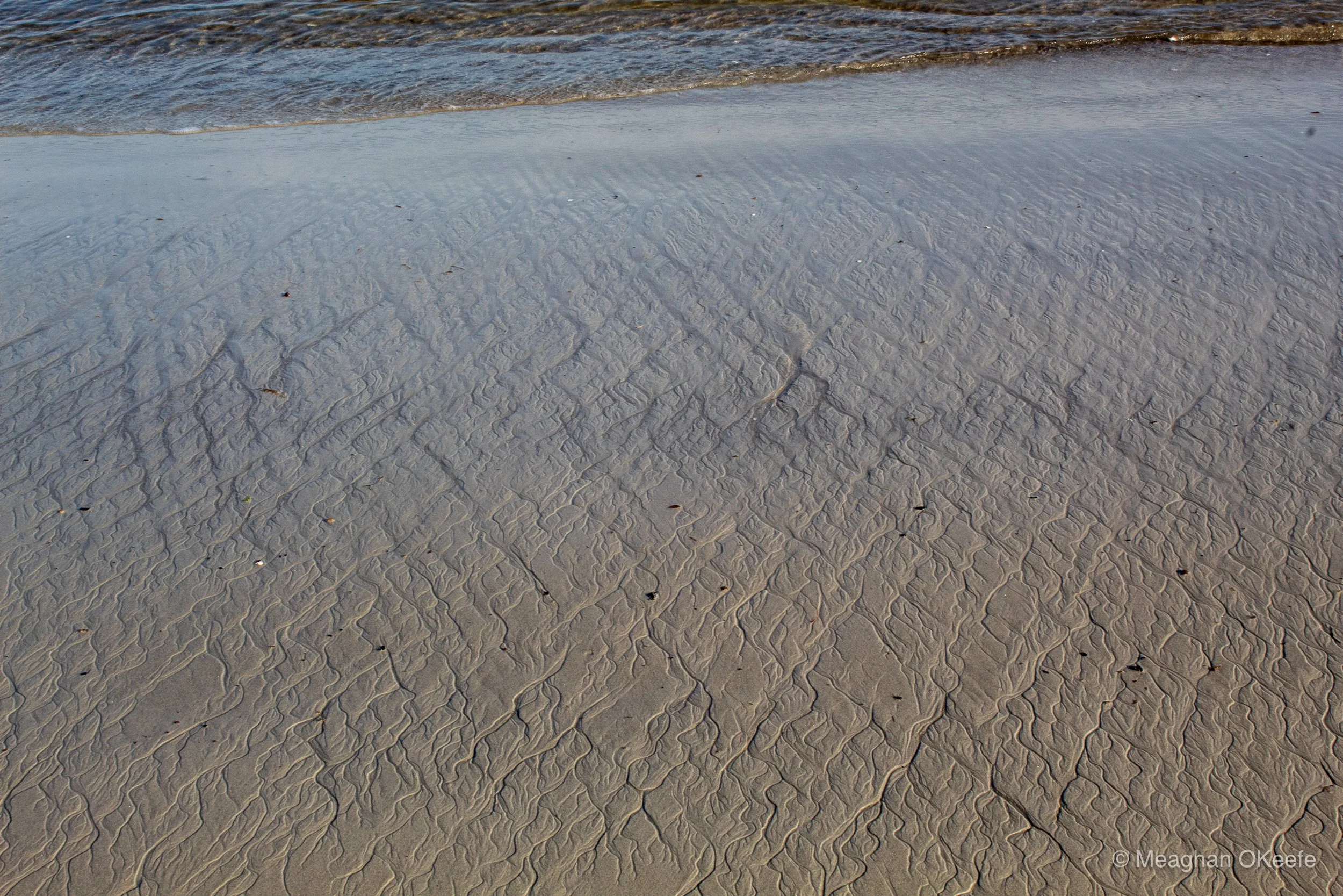 September_Crane Beach_20250913_MOKeefe_00037.jpg