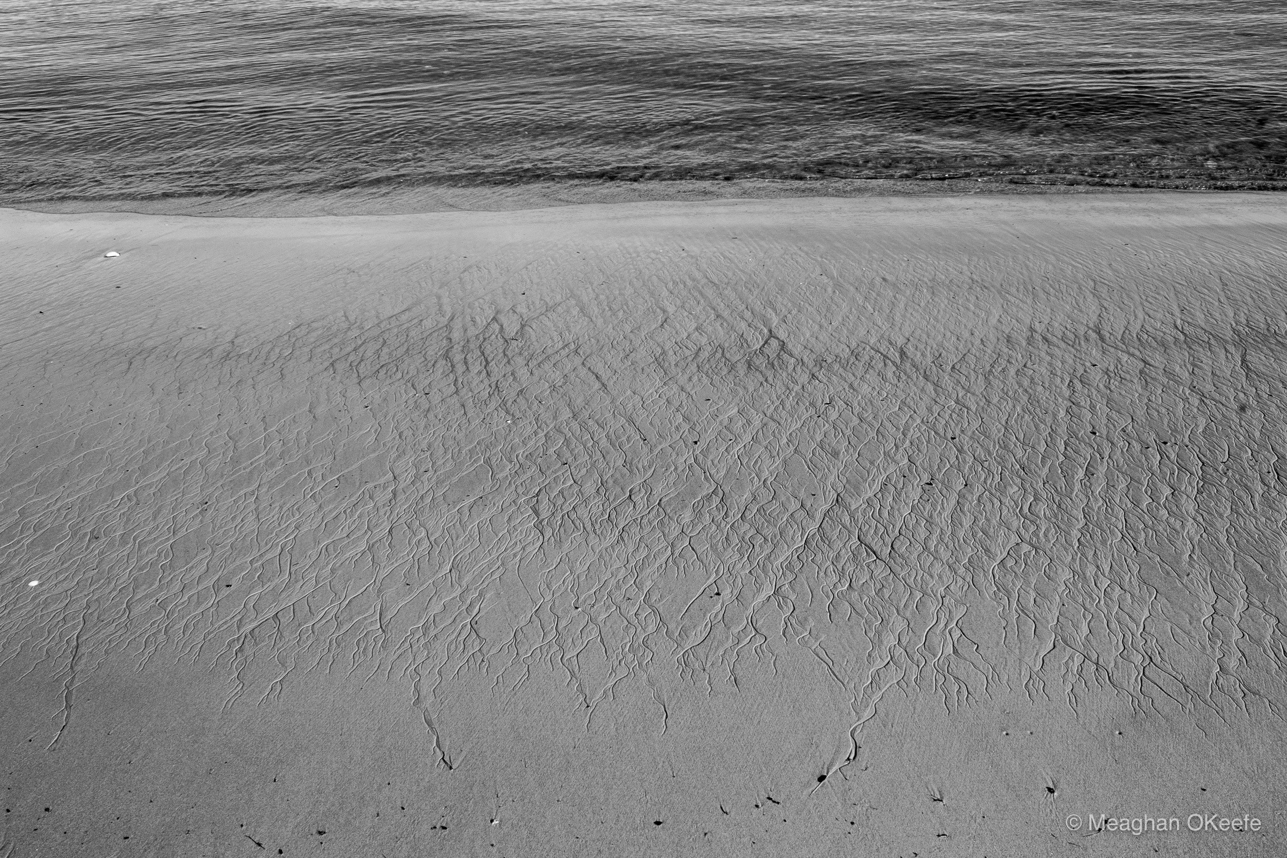 September_Crane Beach_20250913_MOKeefe_00038-2.jpg