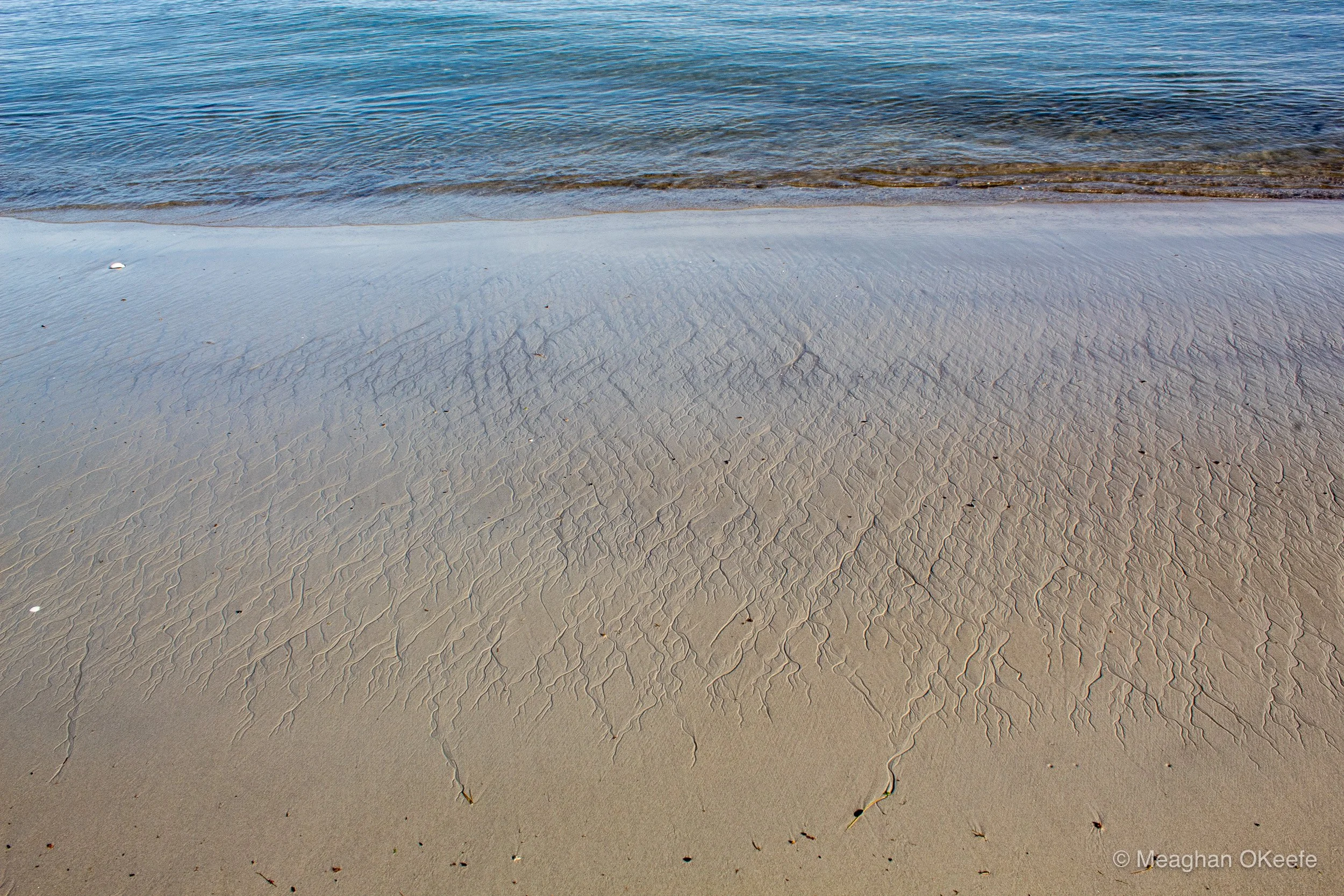 September_Crane Beach_20250913_MOKeefe_00038.jpg