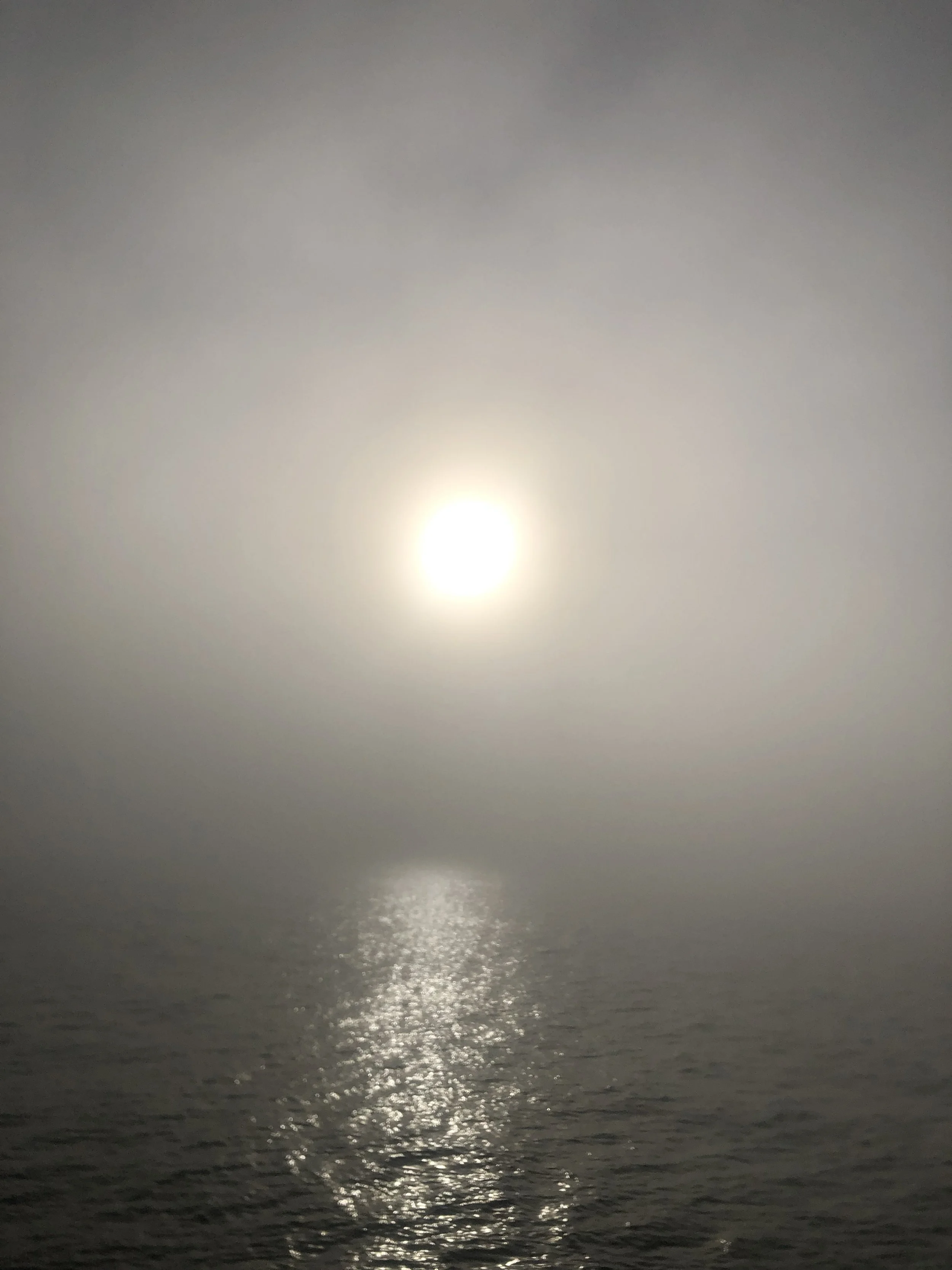 Morning Sun_3131.jpg