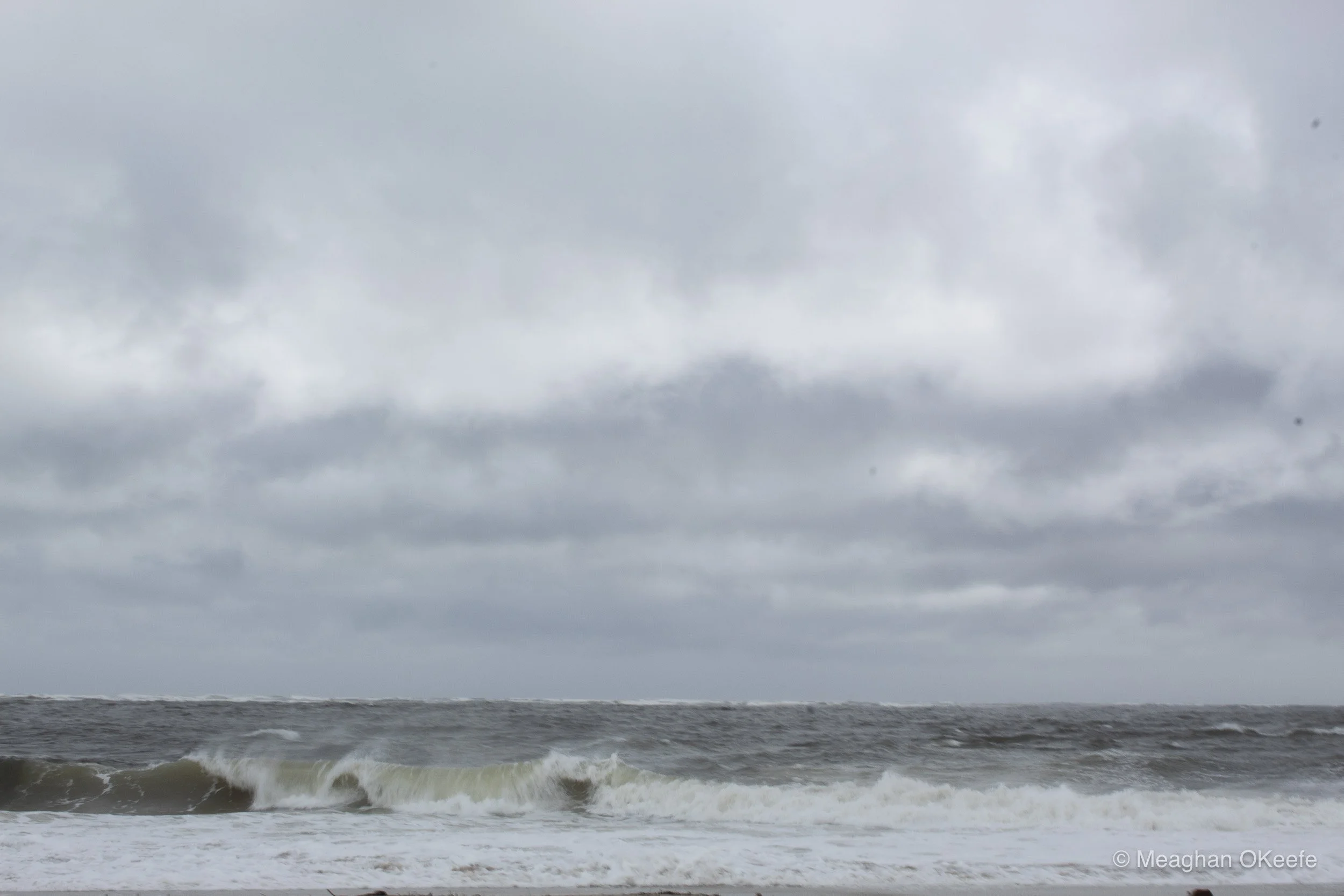 Crane_Stormy_20250523_MOKeefe_00015.jpg