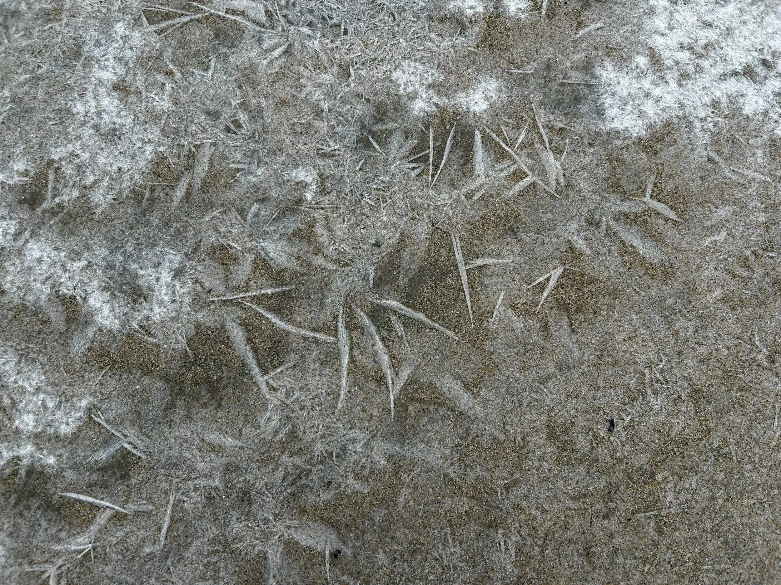 ice+patterns+in+sand.jpg