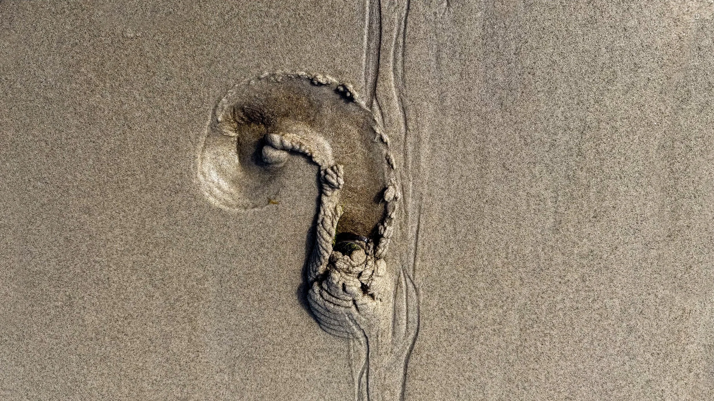 Curiousitie of the Ocean Floor_20260805_MOKeefe_00001.jpg