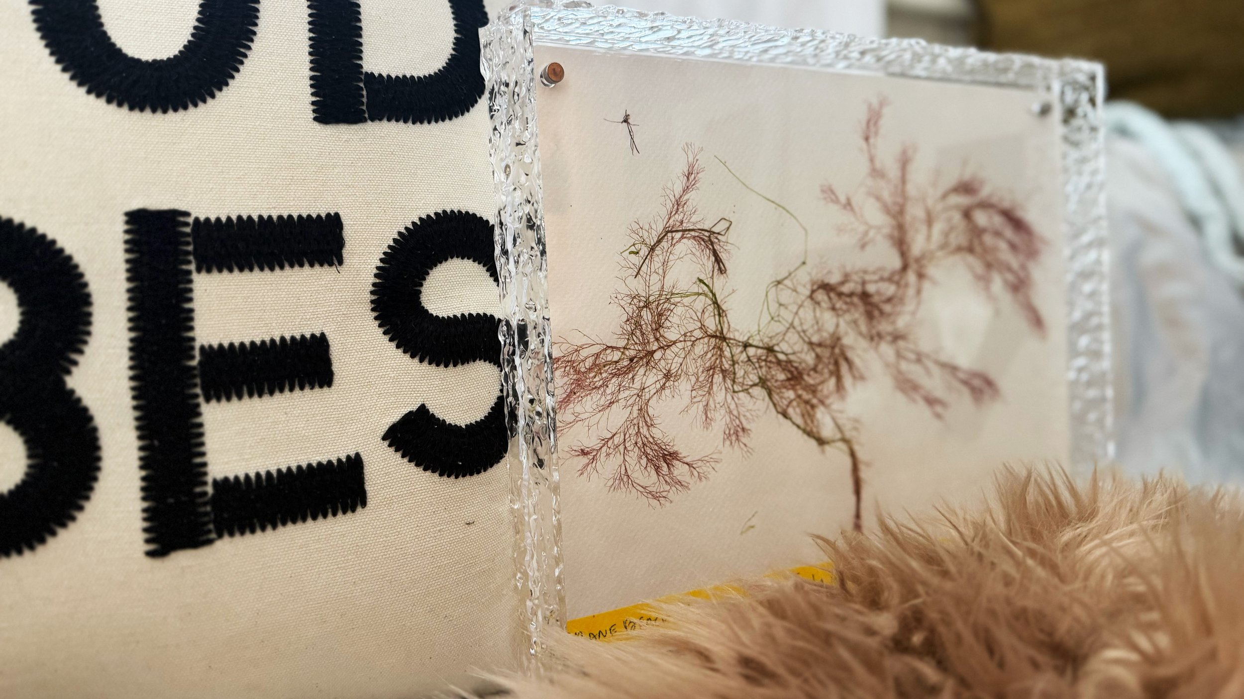 Pressed_1424.jpg