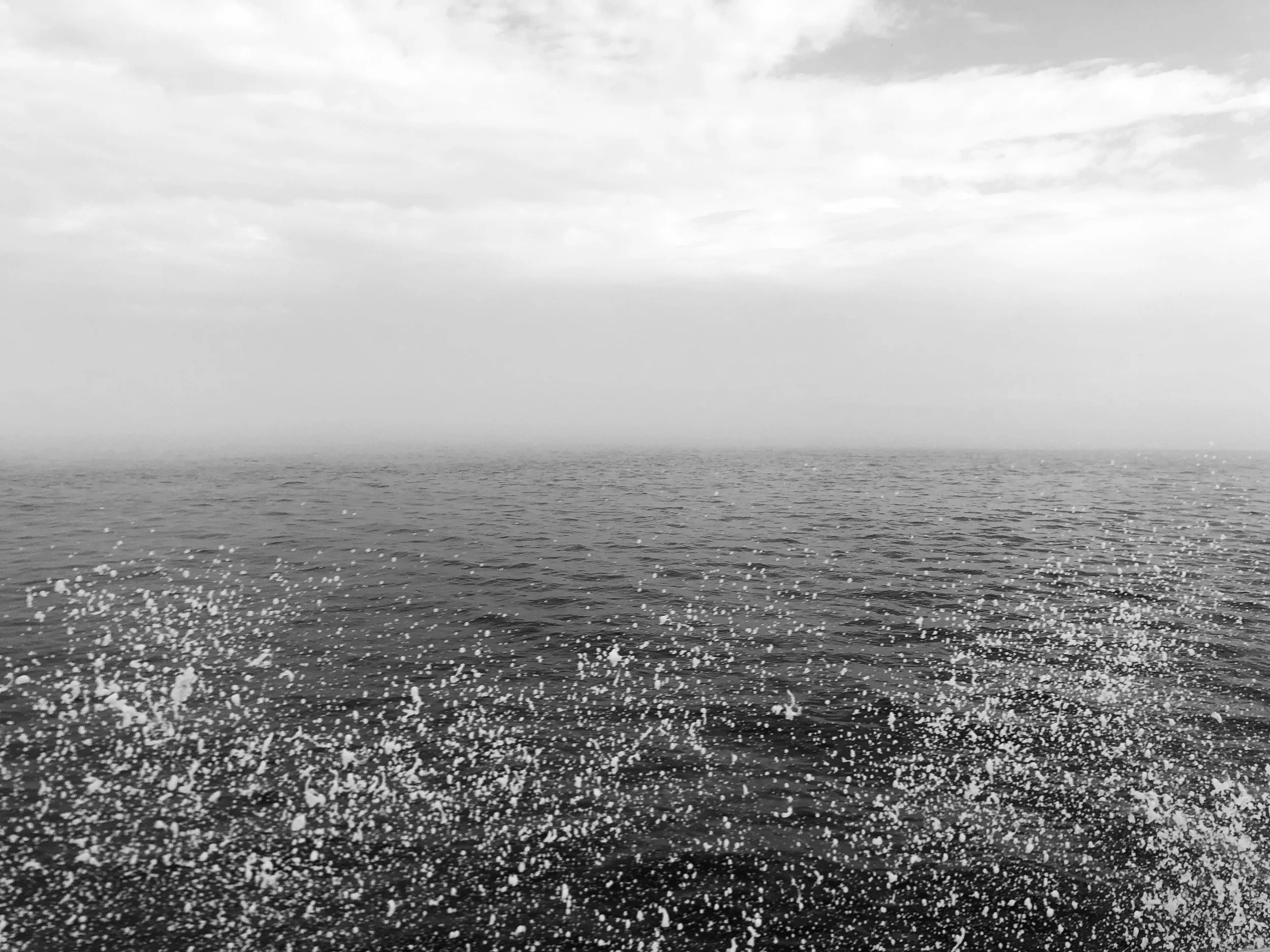 Splash_2749.jpg