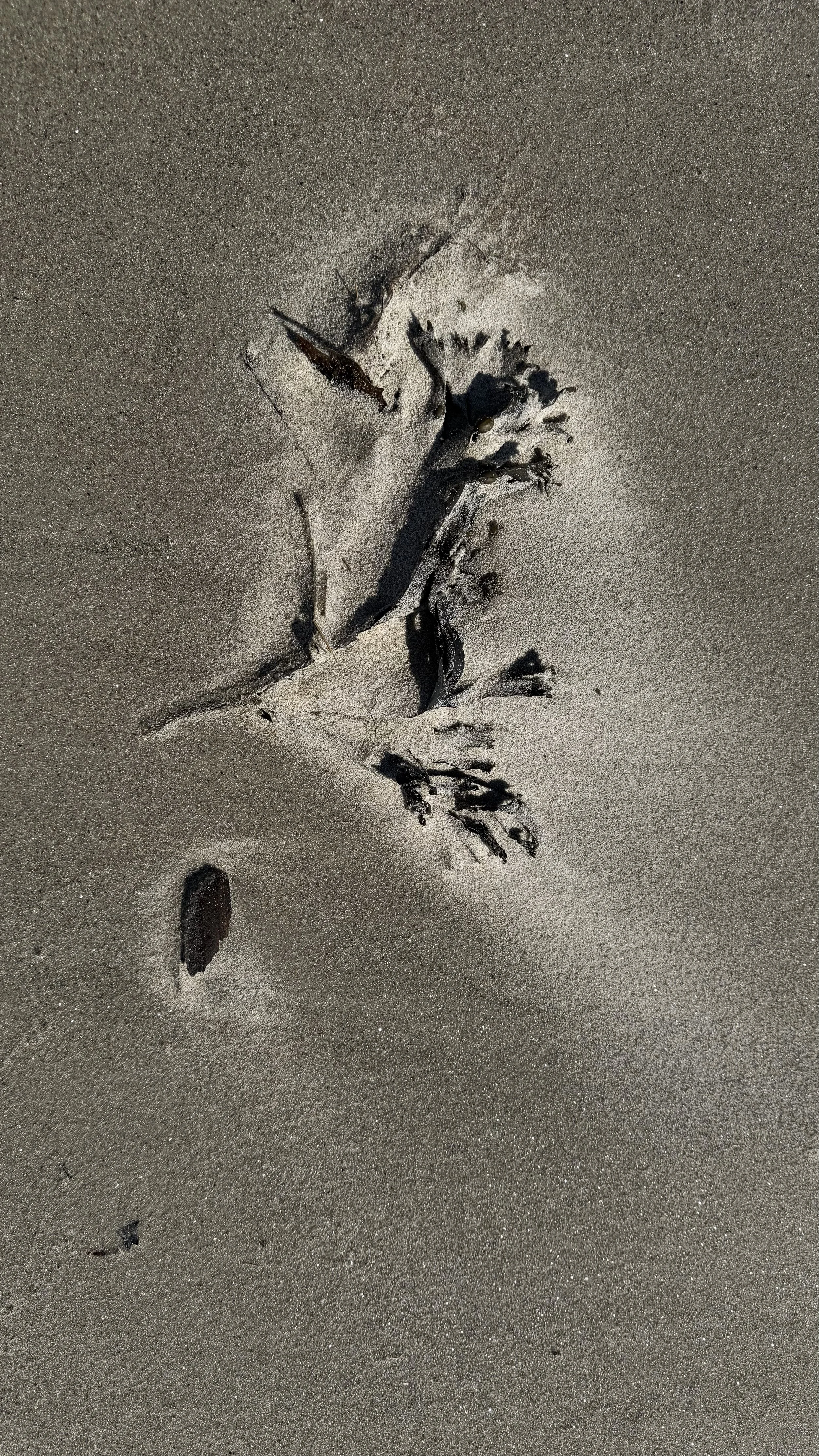 Sand_Art_0182.jpg
