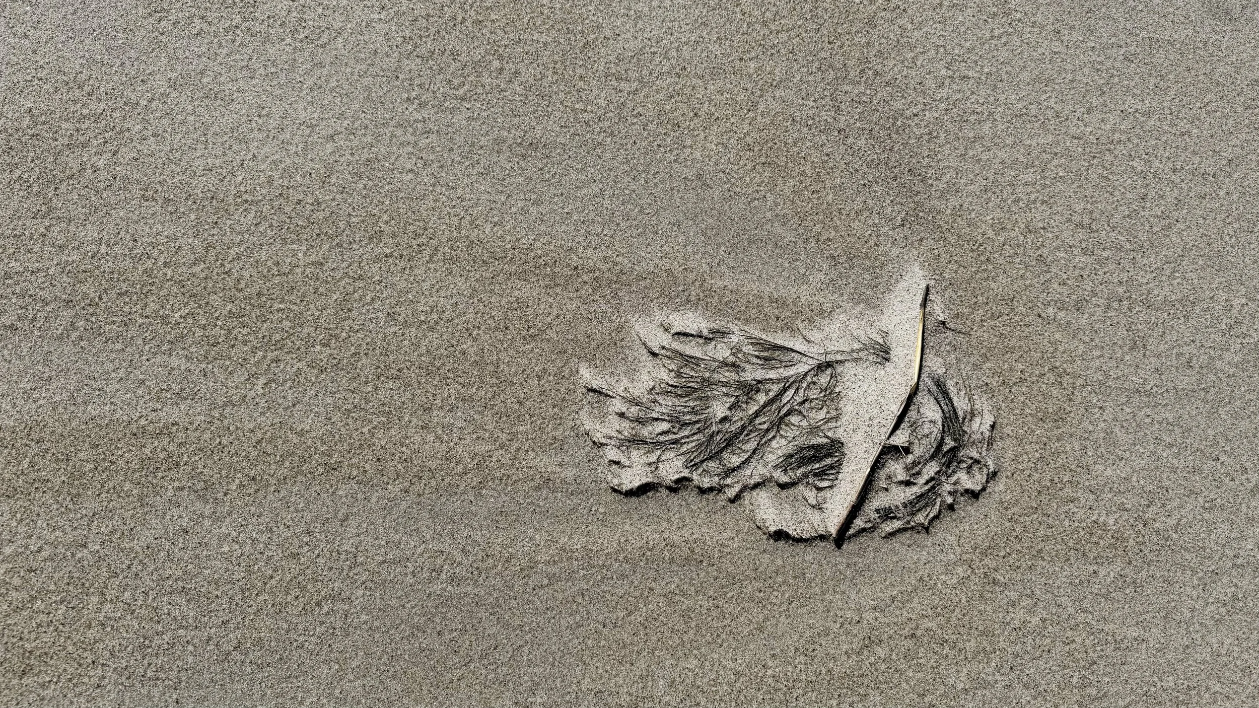 Fine_Sand_Formataions_Fav_9638.jpg