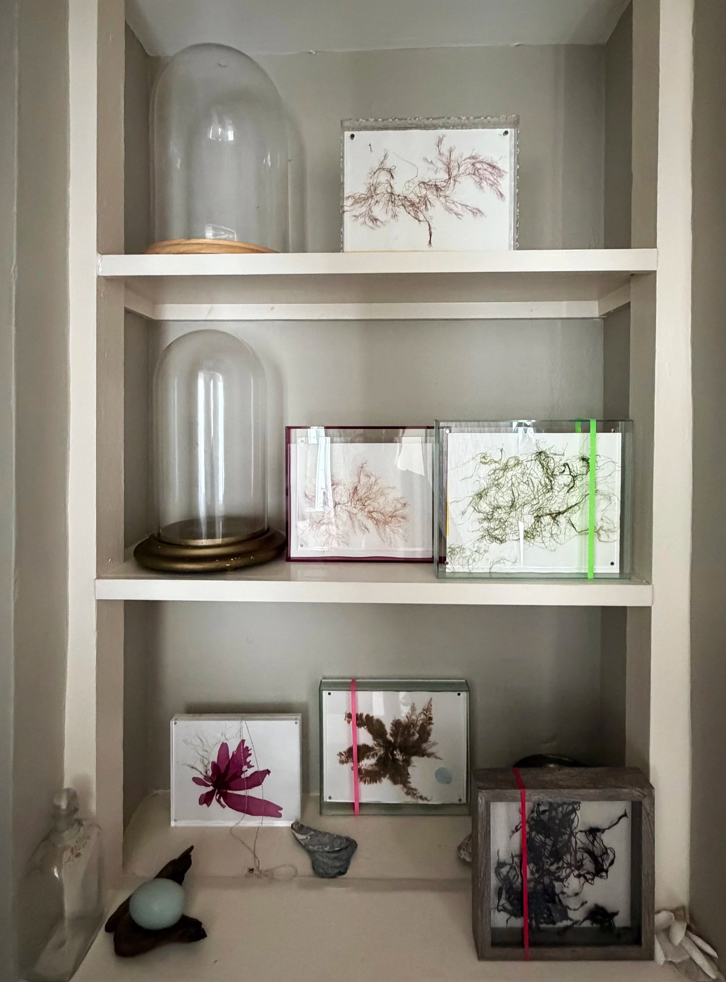 Shelf_Pressed.jpg