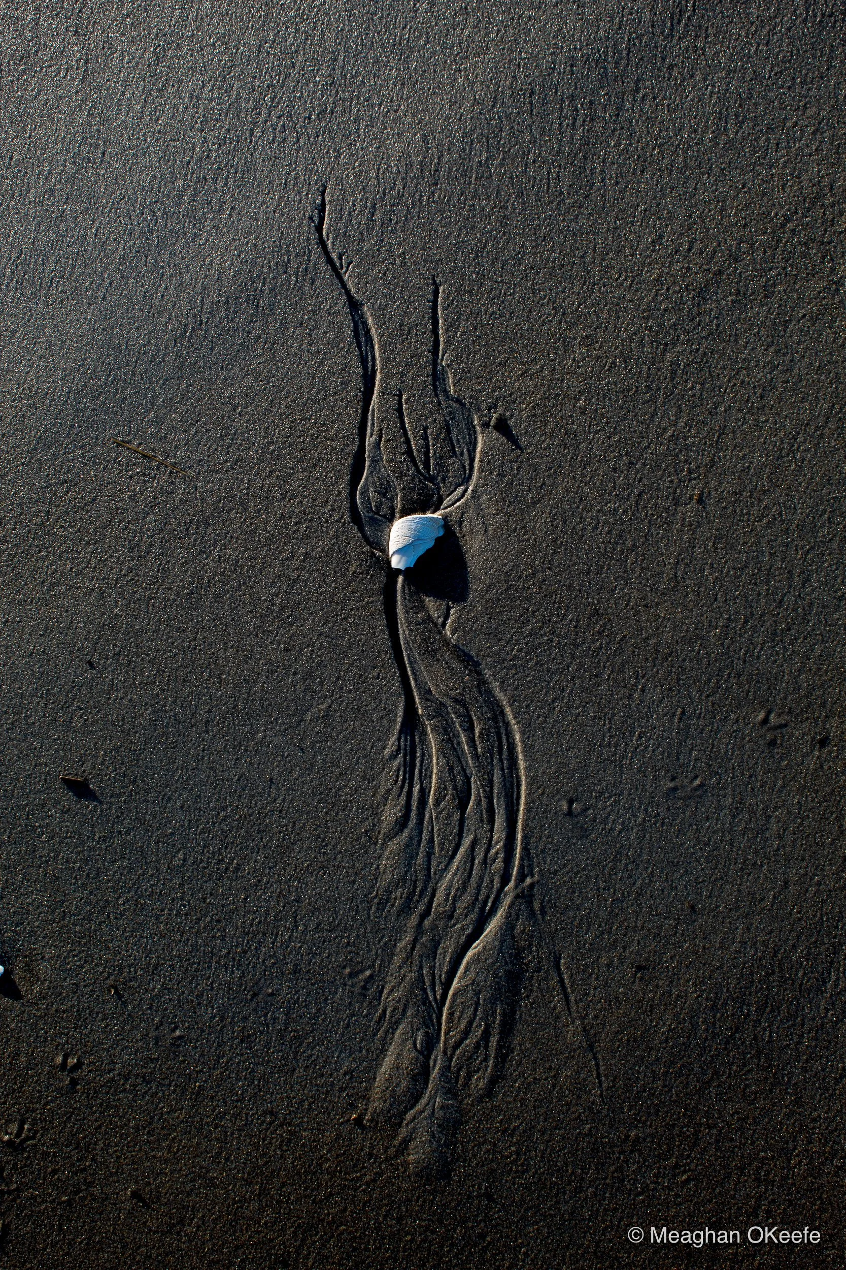 Sand Dun Trails_Winter_20260108_MOKeefe_00012.jpg
