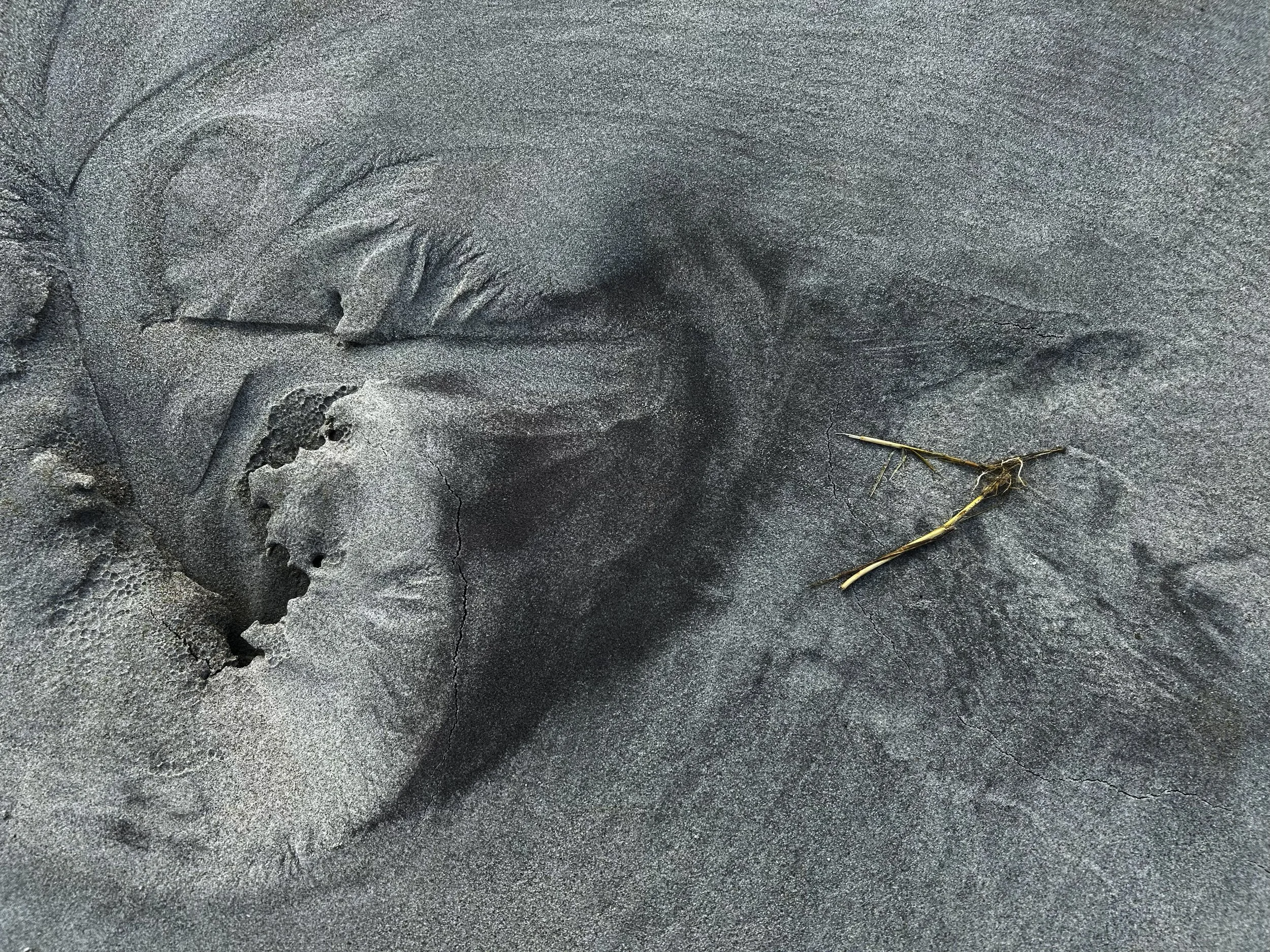 Sand_Formations_7334.jpg