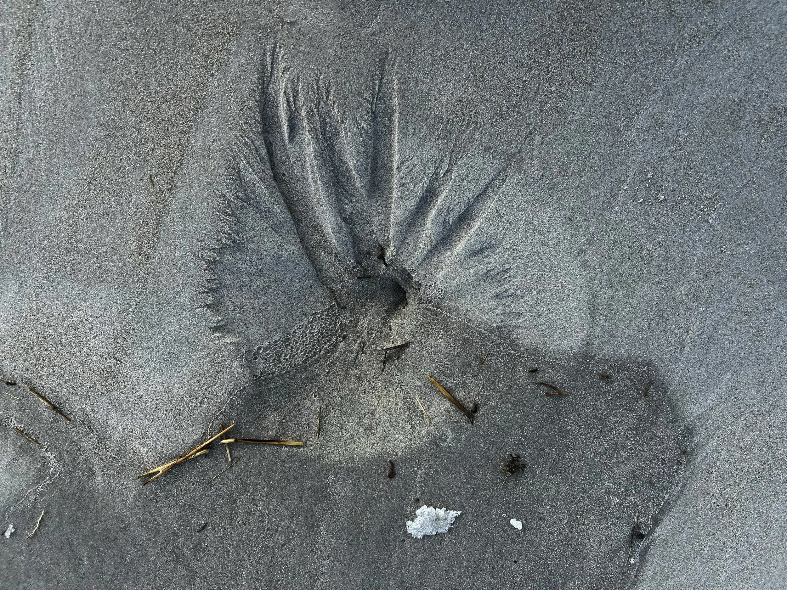 Sand_Formations_7333.jpg