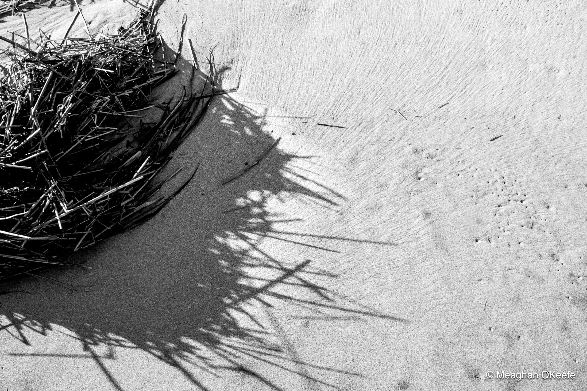 Sand Dun Trails_Winter_20260108_MOKeefe_00013.jpg