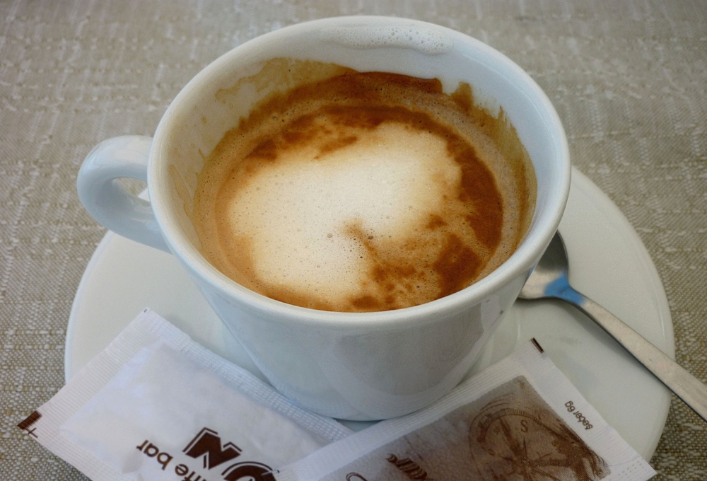P1010092.jpg