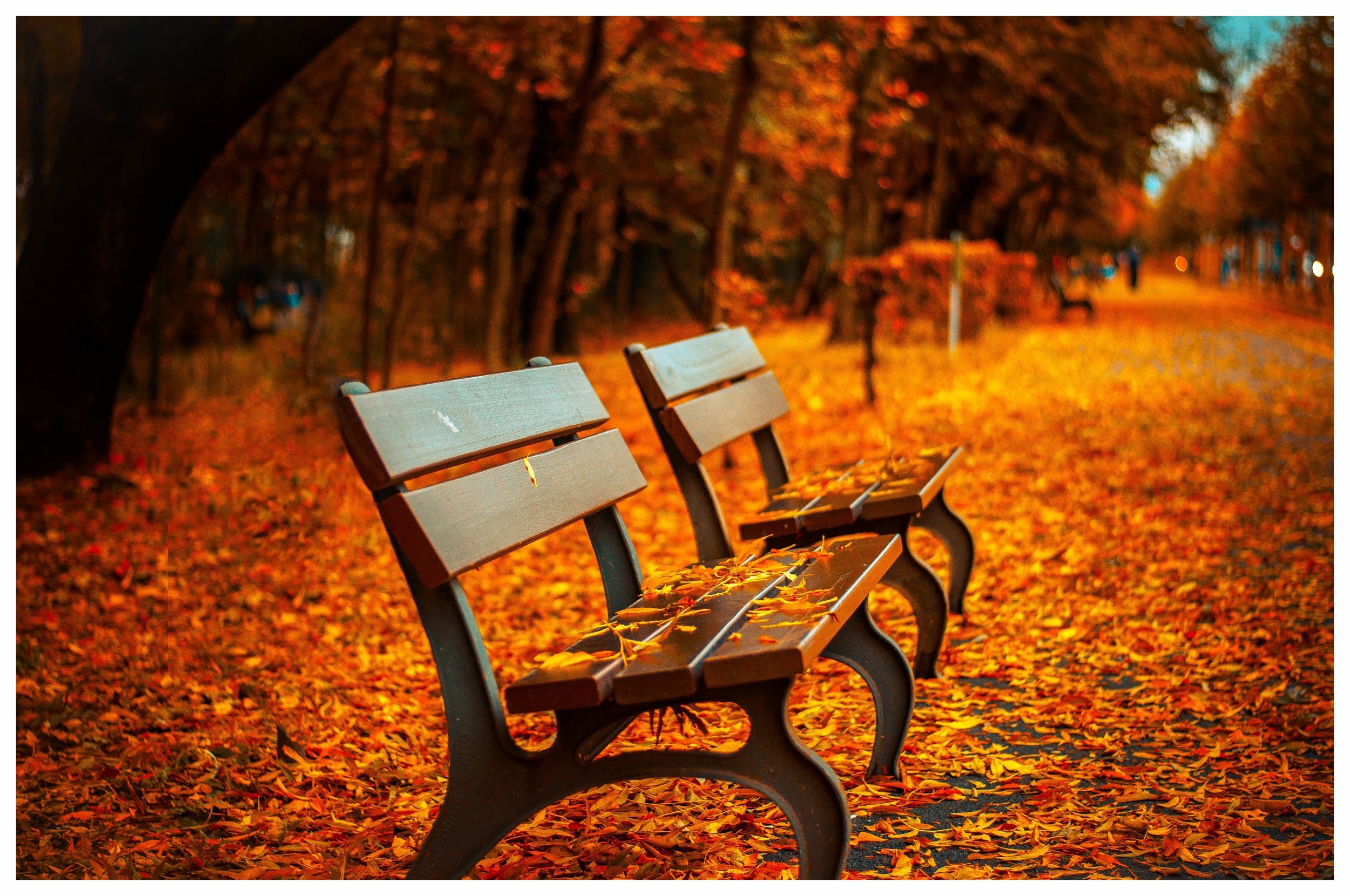 public-domain-images-free-stock-photos-high-quality-resolution-downloads-public-domain-archive-6.jpg