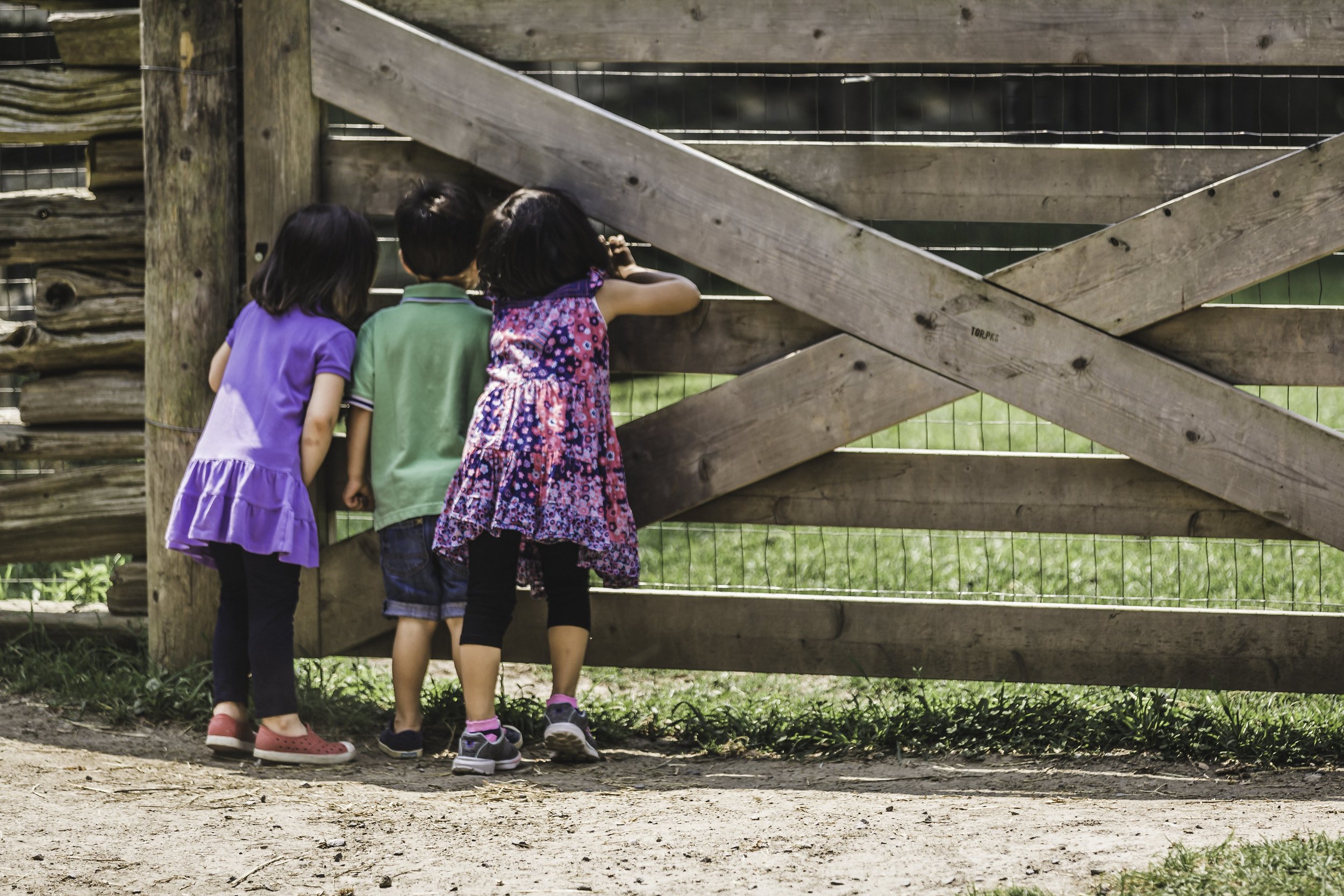 kids-at-the-farm_4460x4460.jpg