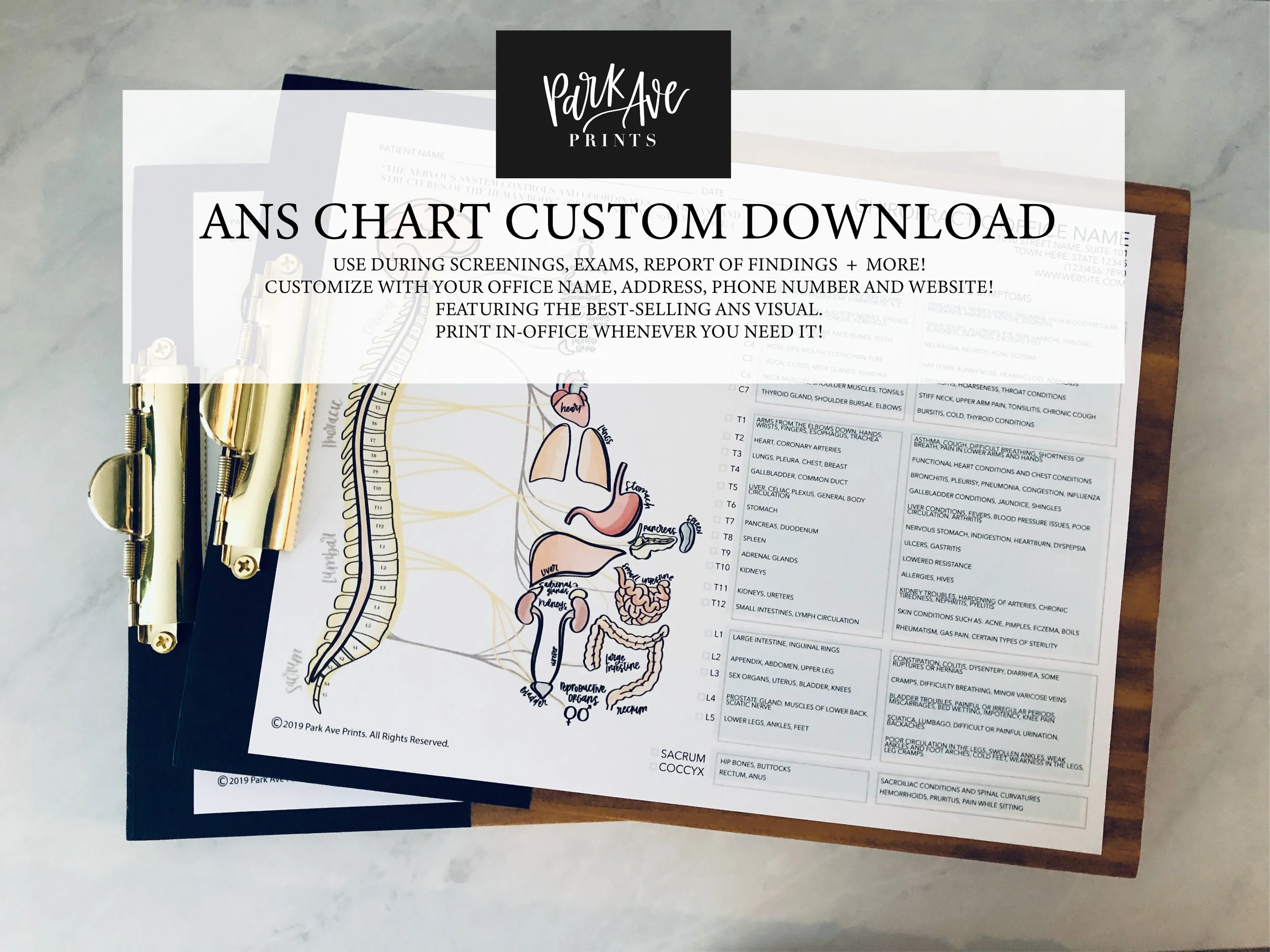 ANS Chart Customized DOWNLOAD - PDF -
