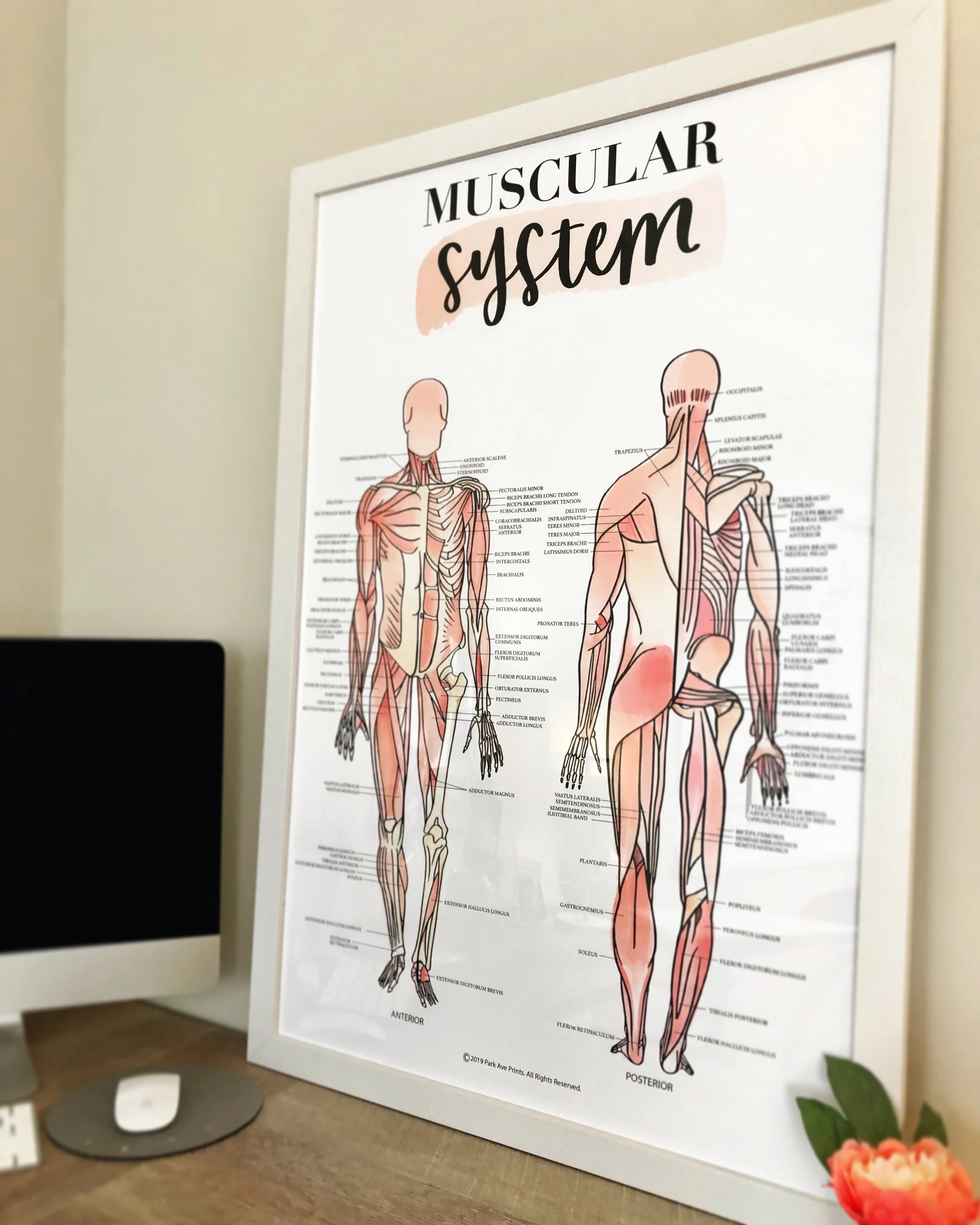 D333E184-C0BE-4A72-AA7E-984A0840885A