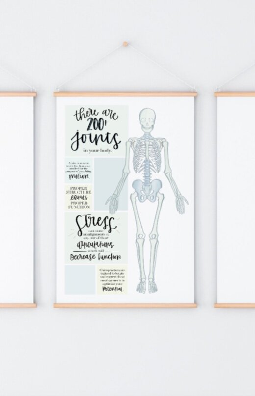 JOINTS Chiropractic Poster - 24x36 inches only