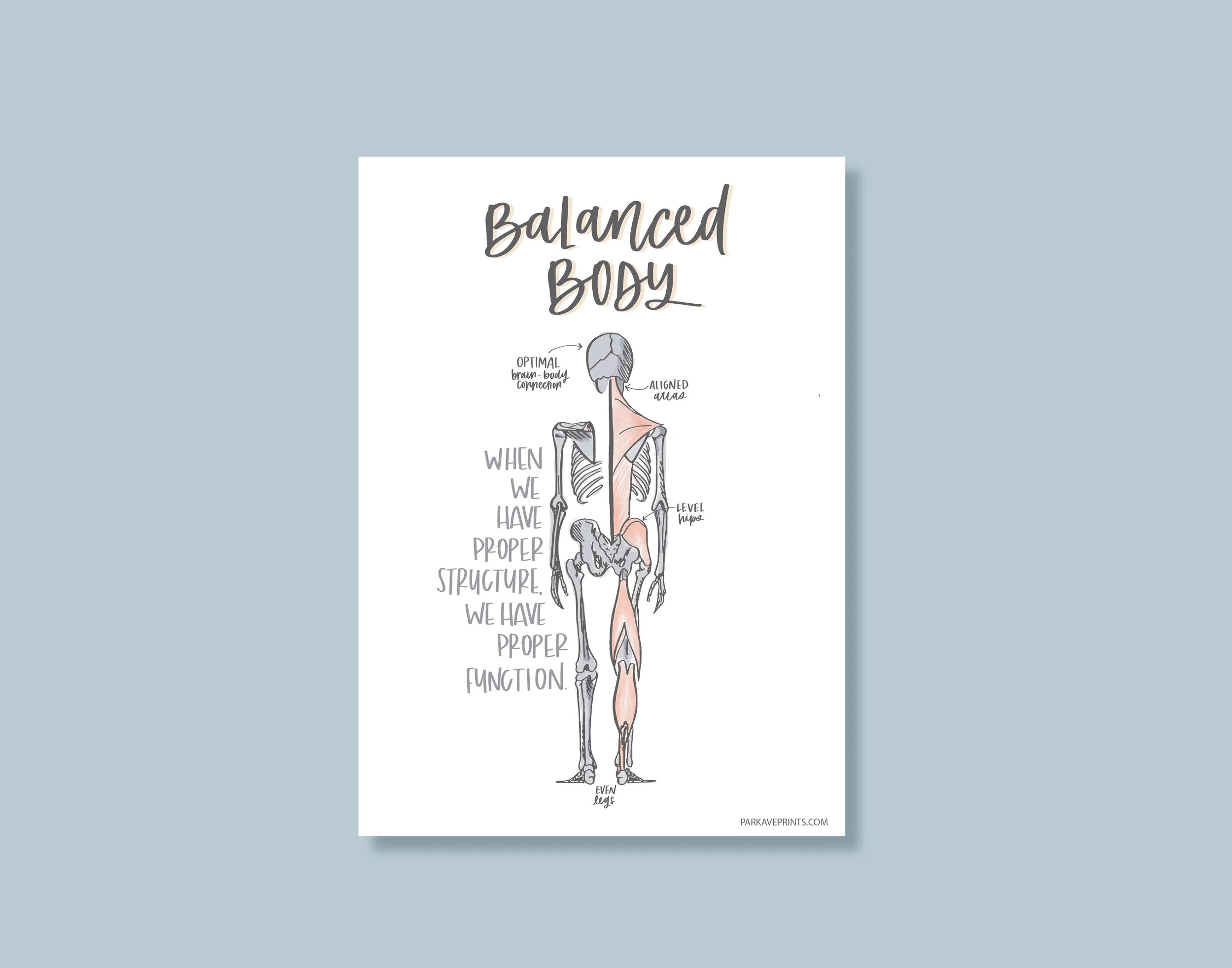 New! BALANCED Body Chiropractic Poster